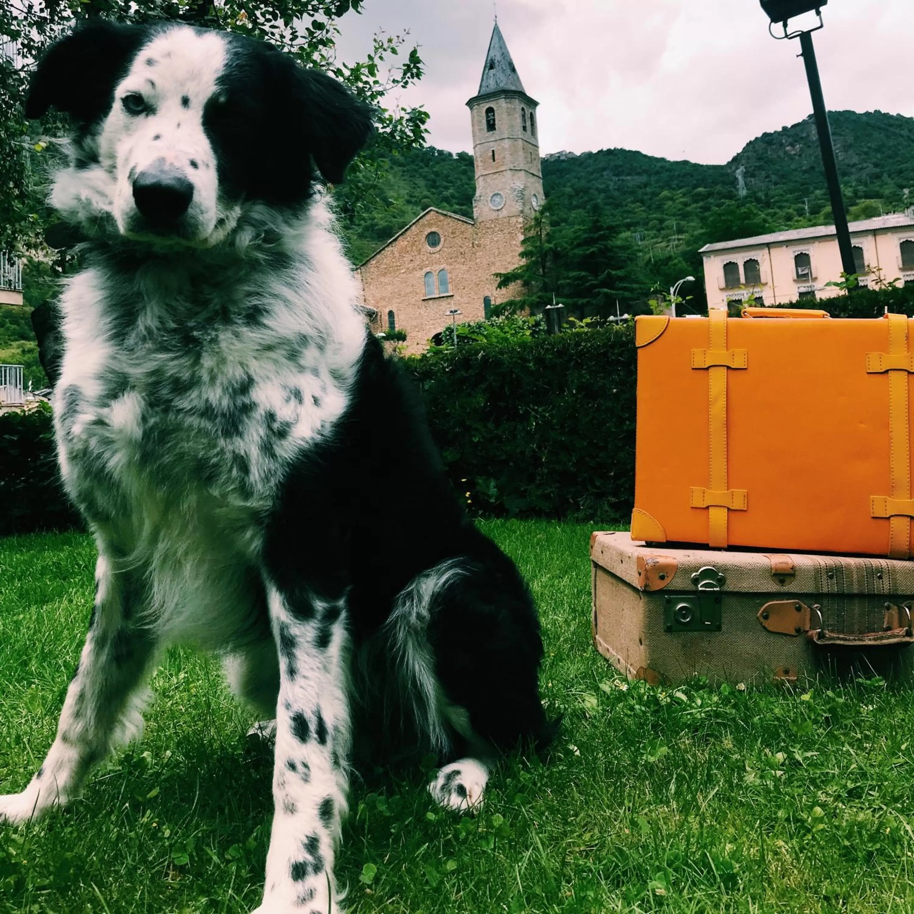 Off site in Pey Resort