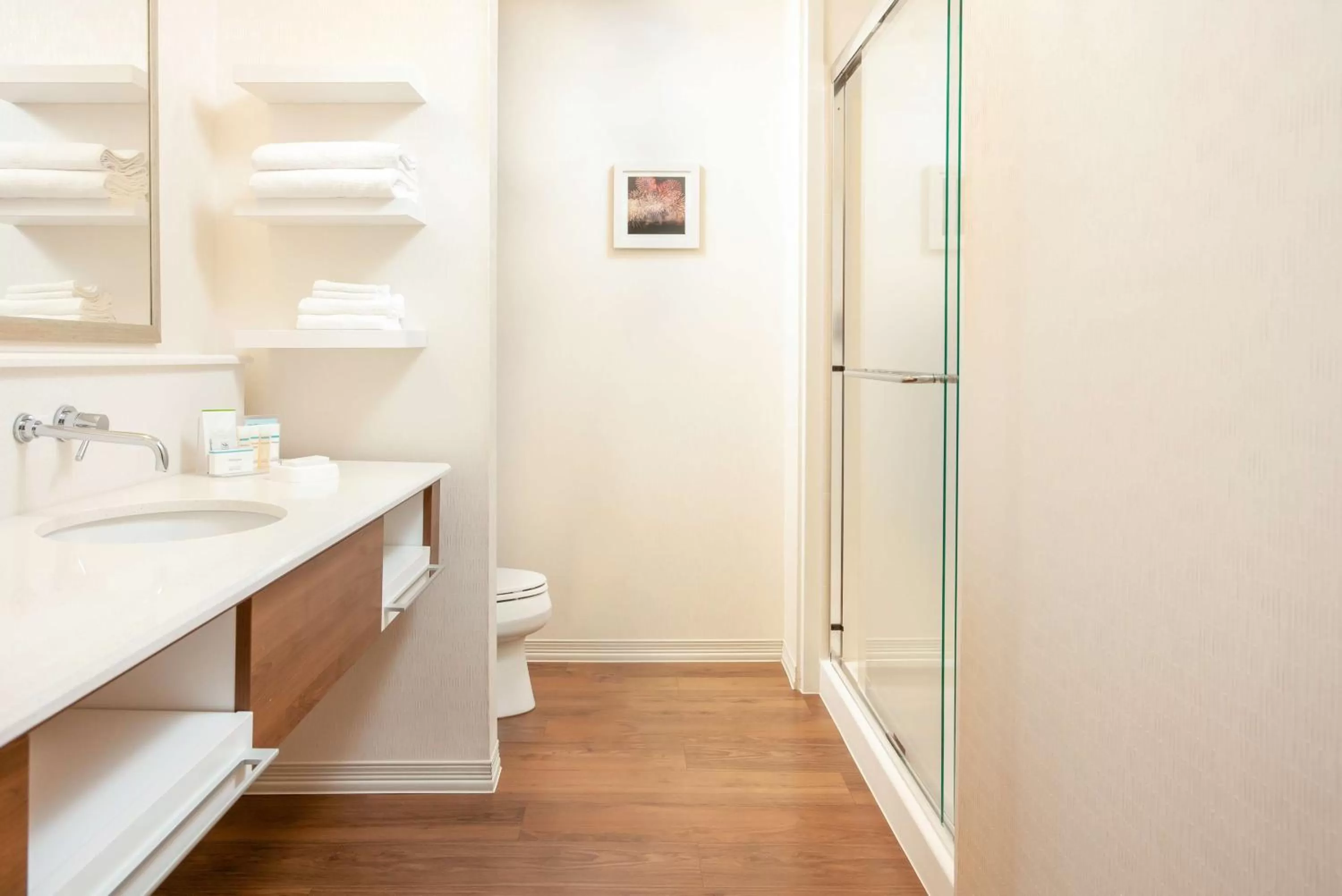 Bathroom in Hampton Inn & Suites Niles/Warren, OH