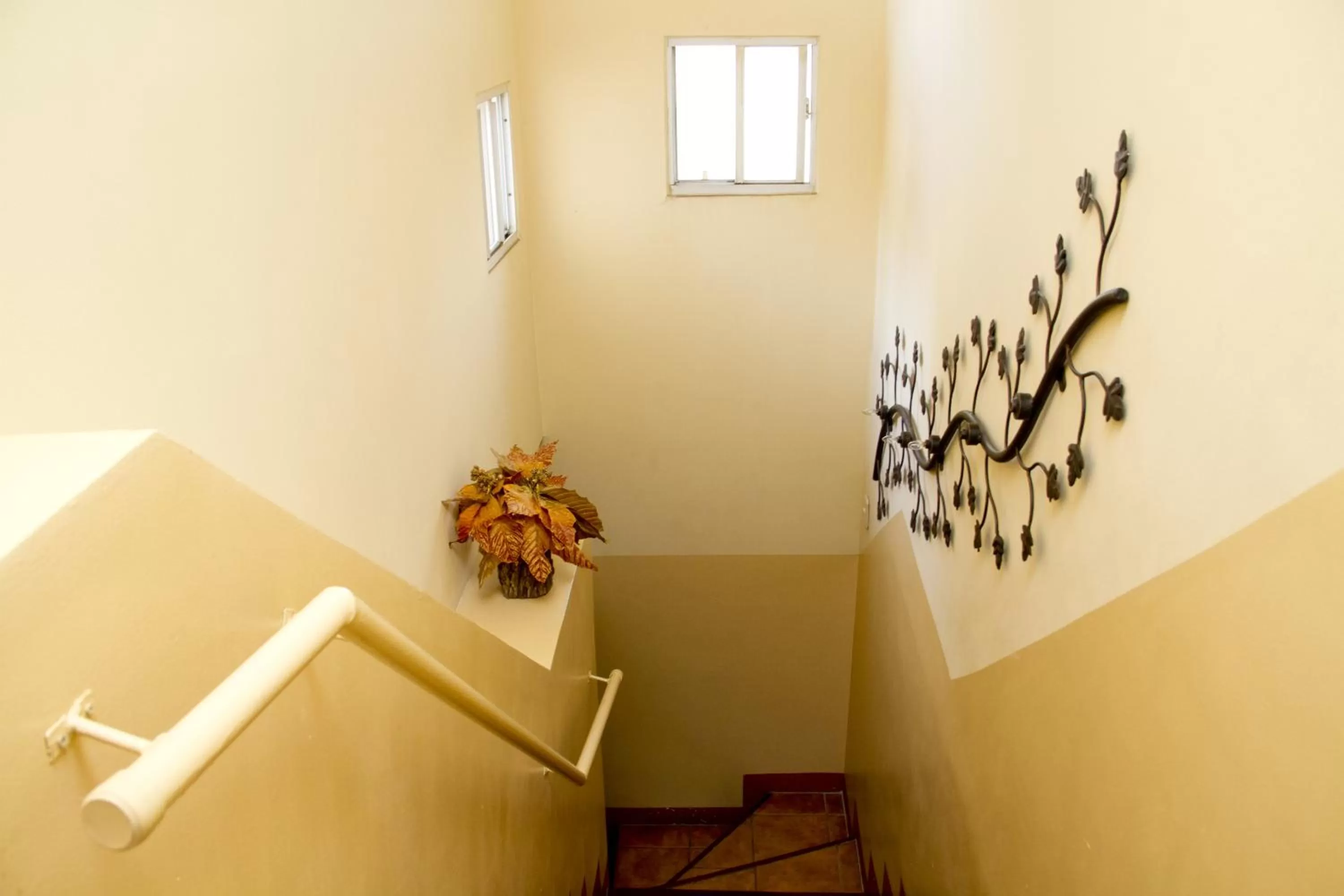 Area and facilities in Hotel Colibri