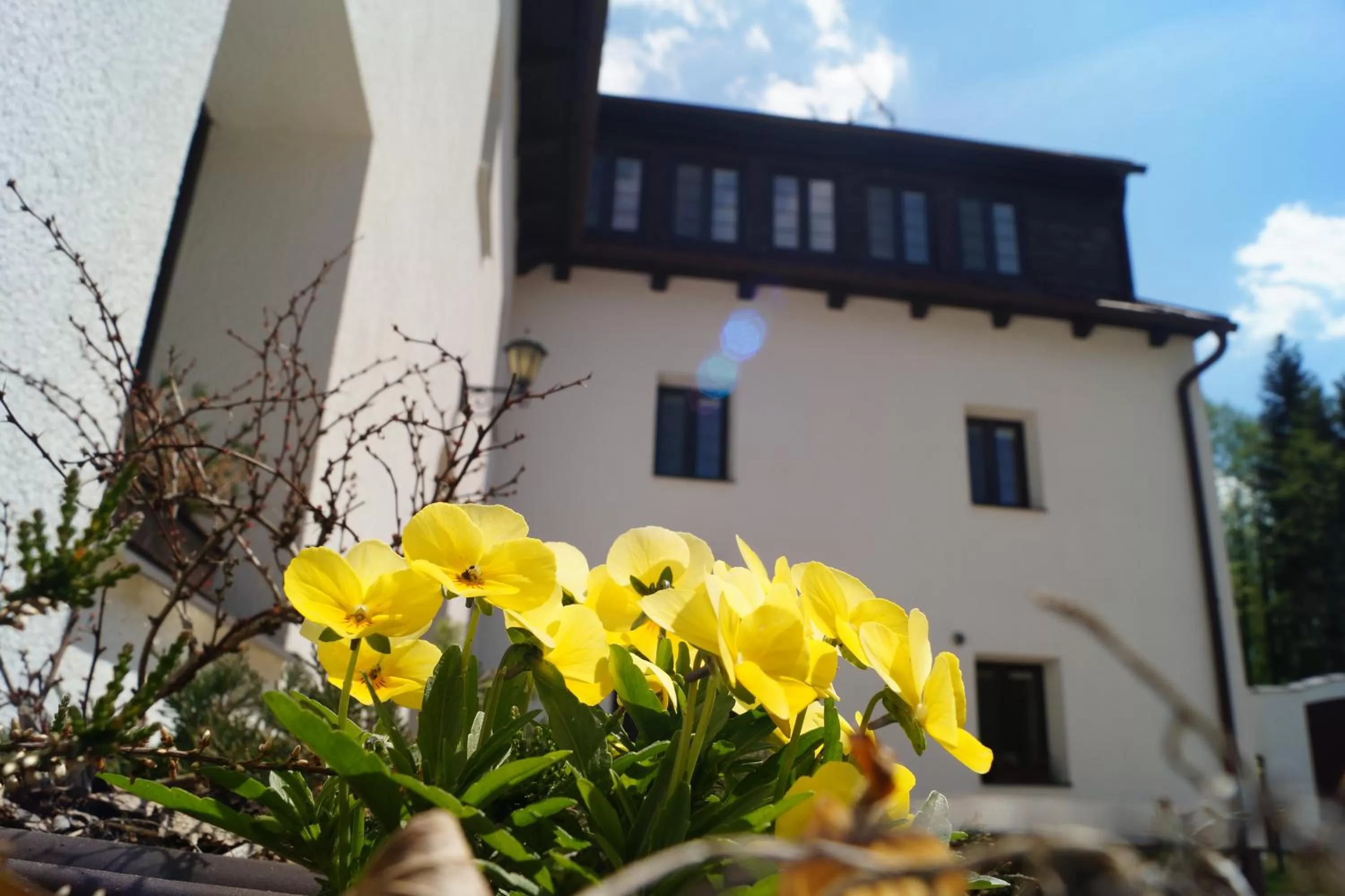 Facade/entrance, Property Building in Hotel a Hostinec Tálský mlýn