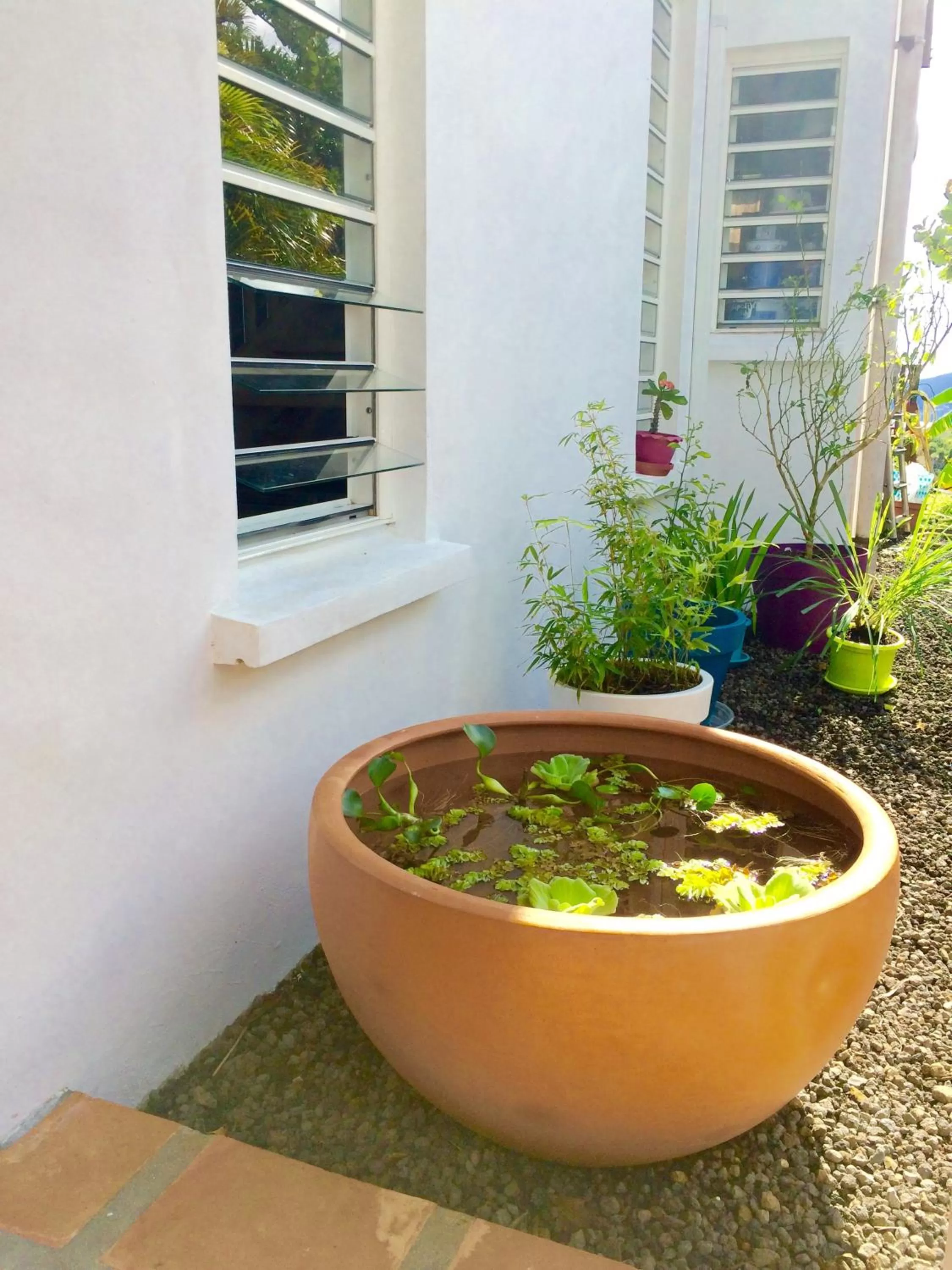 Property building in Villa Cajou (Chambre d'hôtes chez l'habitant)