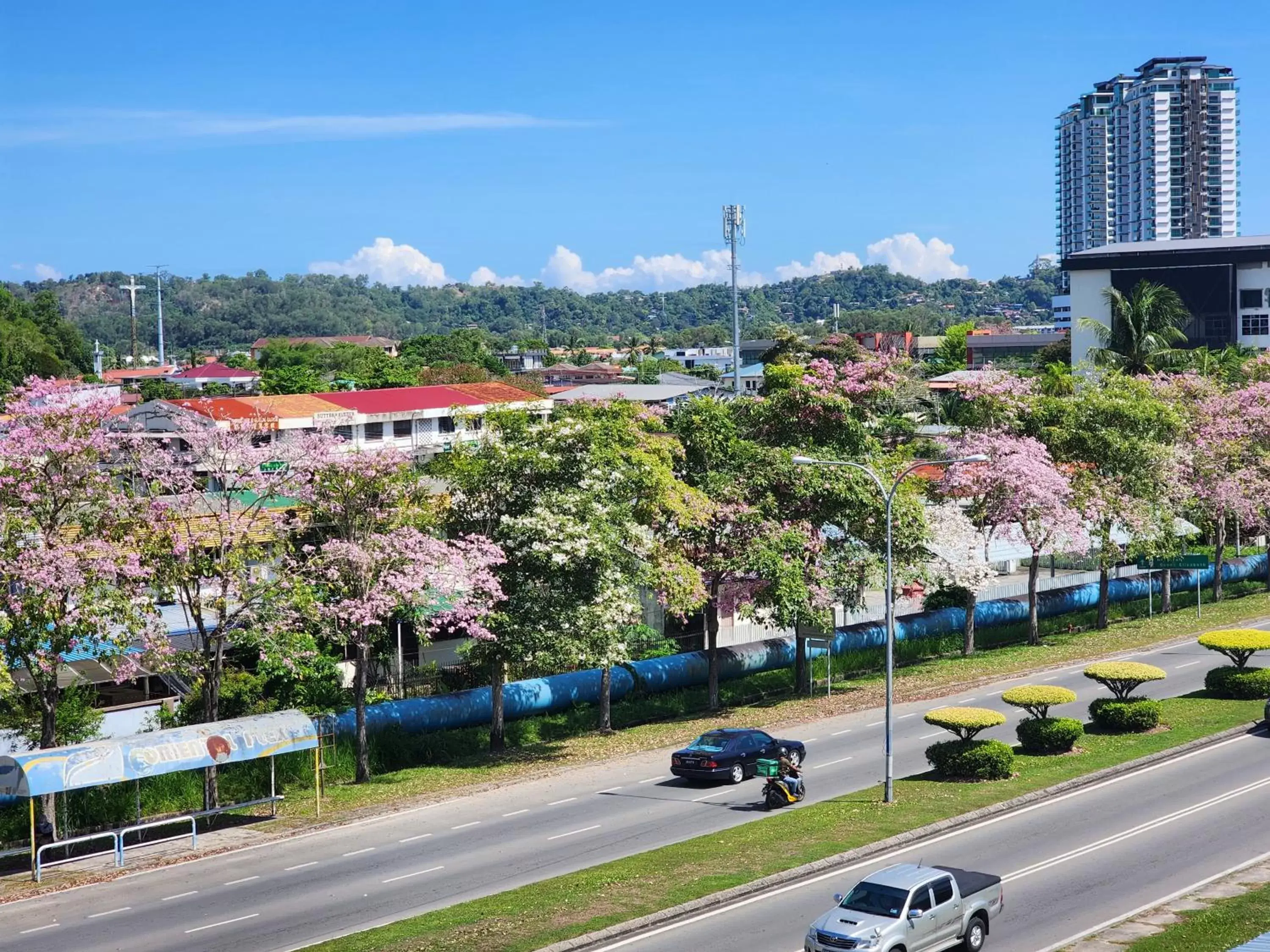 Superior Suite in Y Hotel Superior Suite in Y Hotel