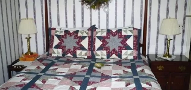 Bed in The South Glenora Tree Farm