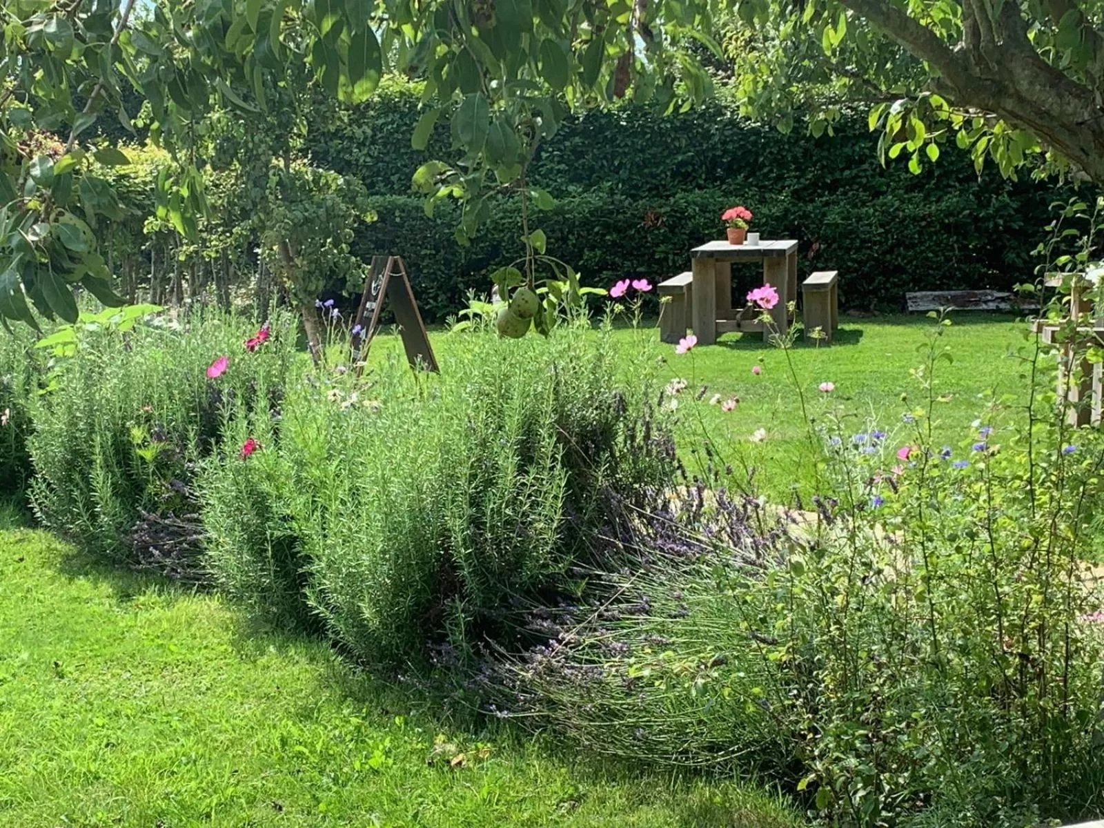Garden in Pear Tree Inn Whitley