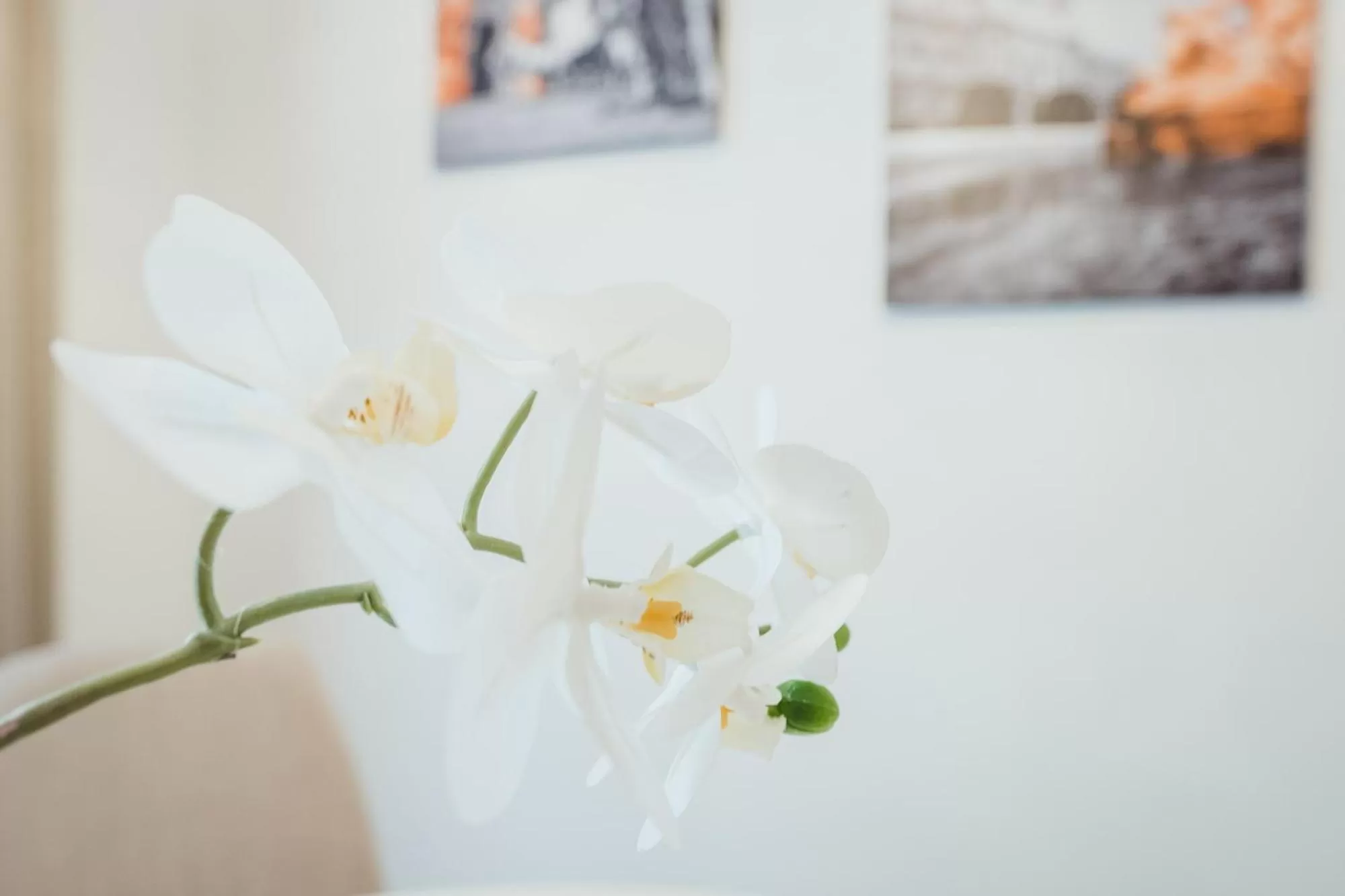 Decorative detail in Oliver Urban I Self check-in Apartments