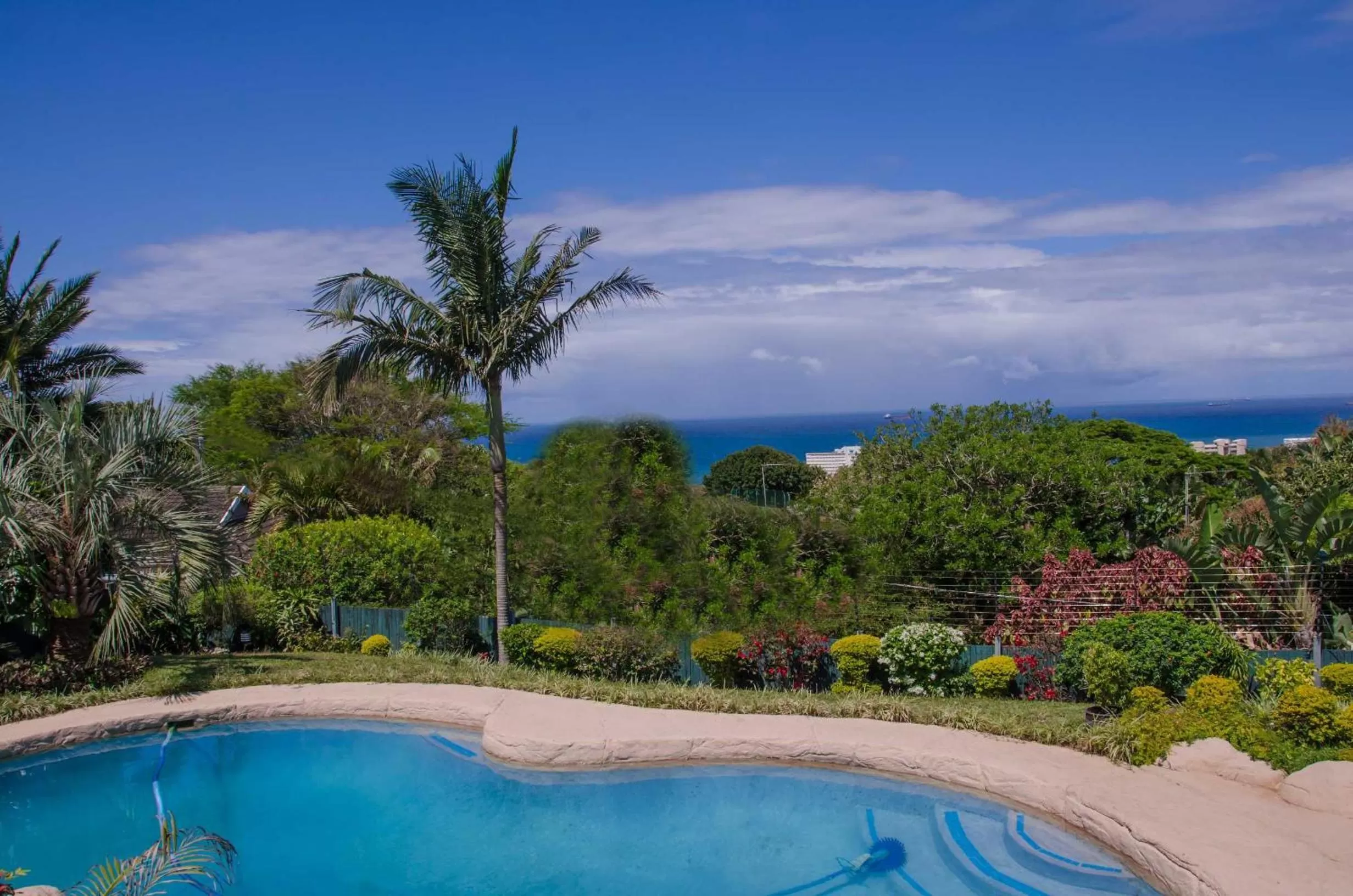 Swimming pool, Pool View in Addis Bed and Breakfast