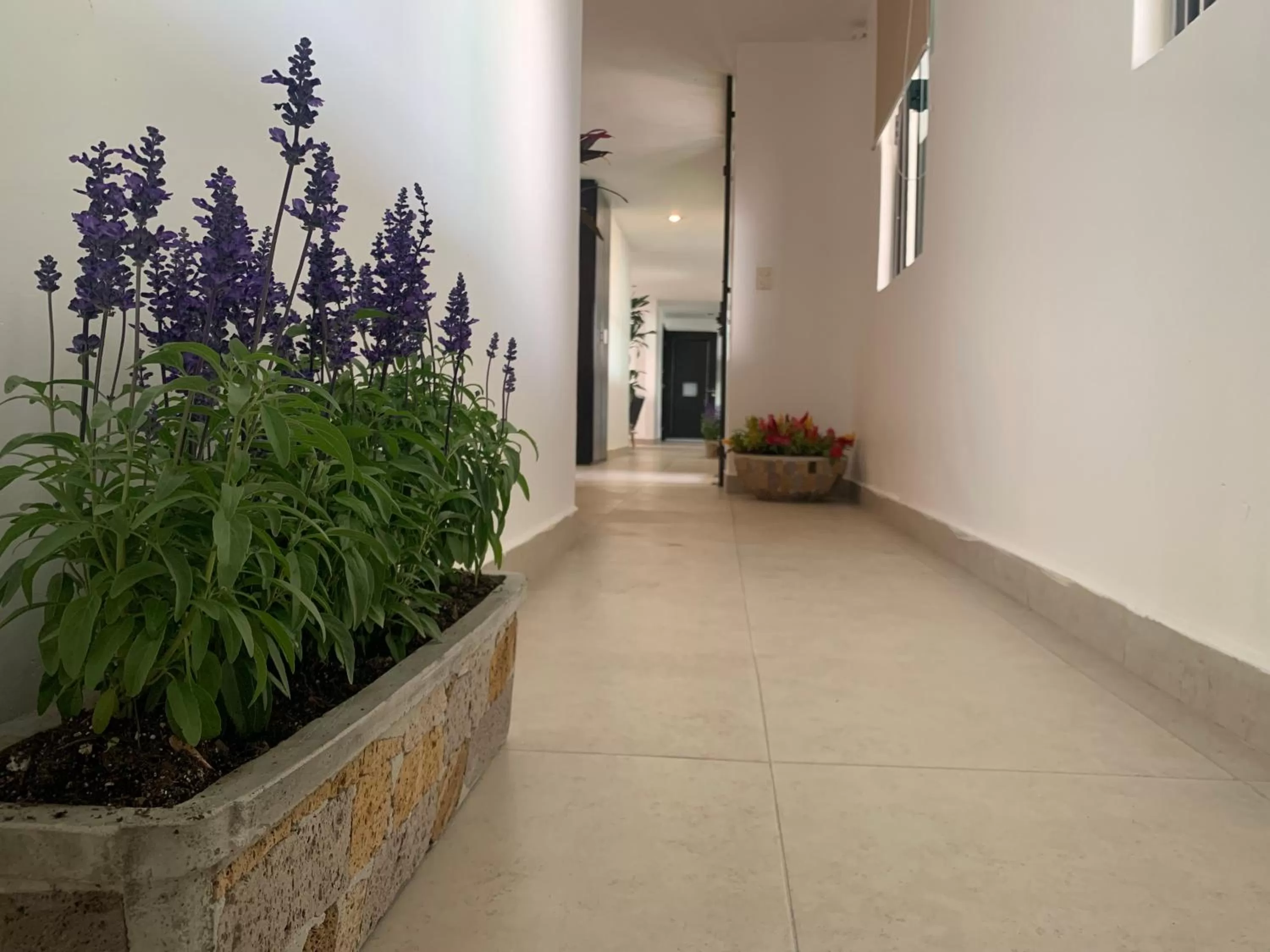 Lobby or reception in Hotel Escala Puebla Centro