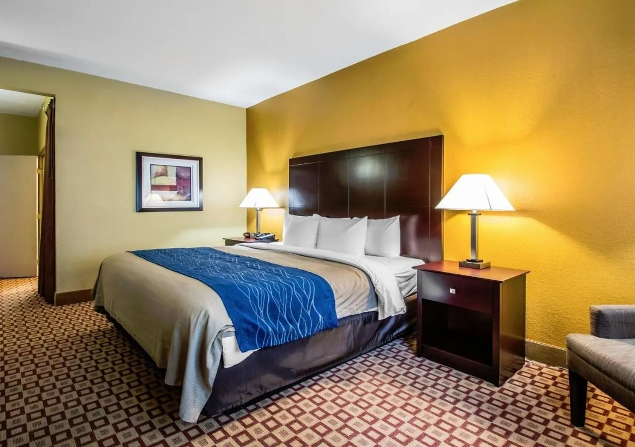 Standard King Room - Non-Smoking  in Quality Inn Plant City - Lakeland