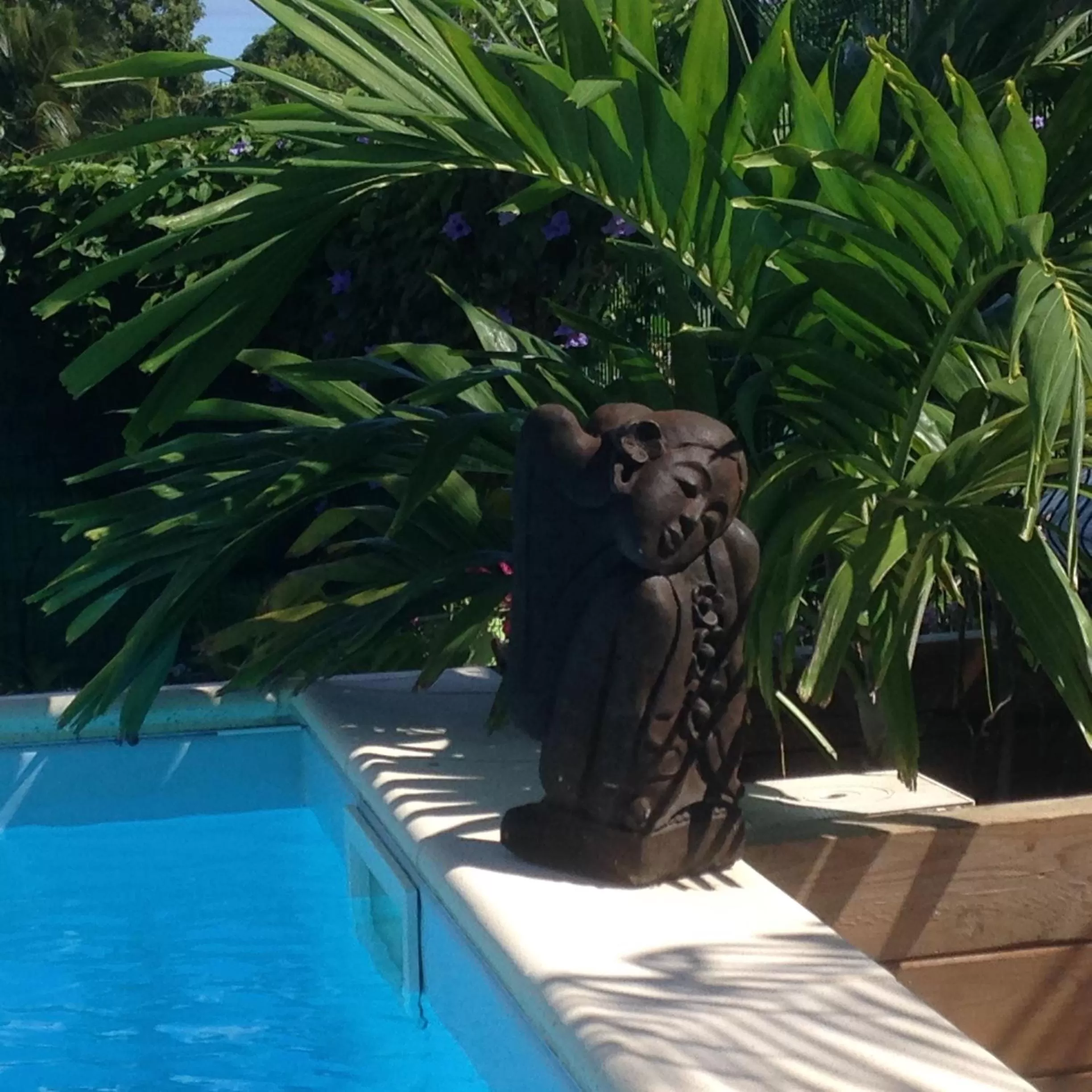 Swimming pool in Chambre d'hôte Coeur-CoCo piscine