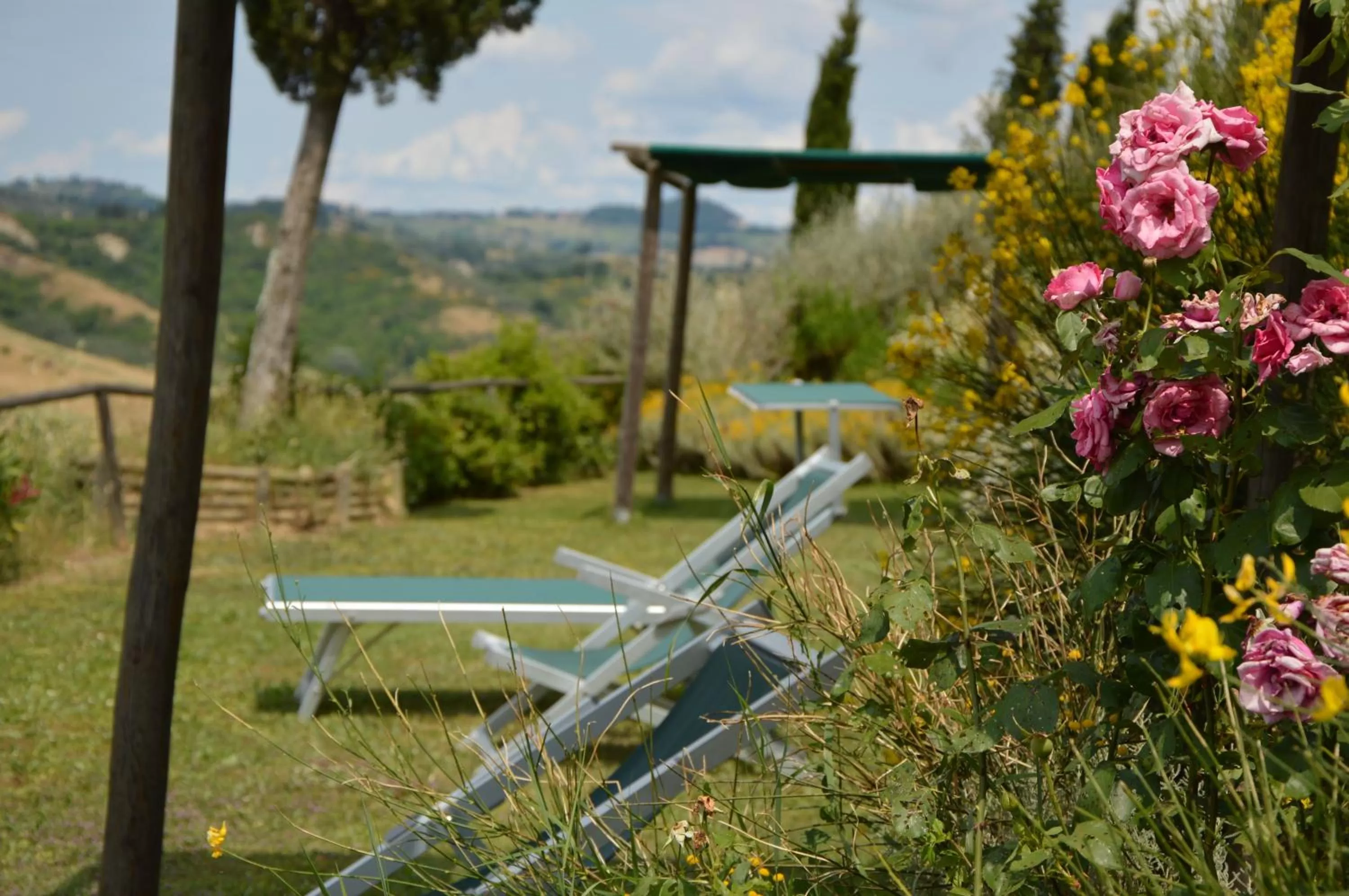 Garden, Children's Play Area in Podere Benintendi