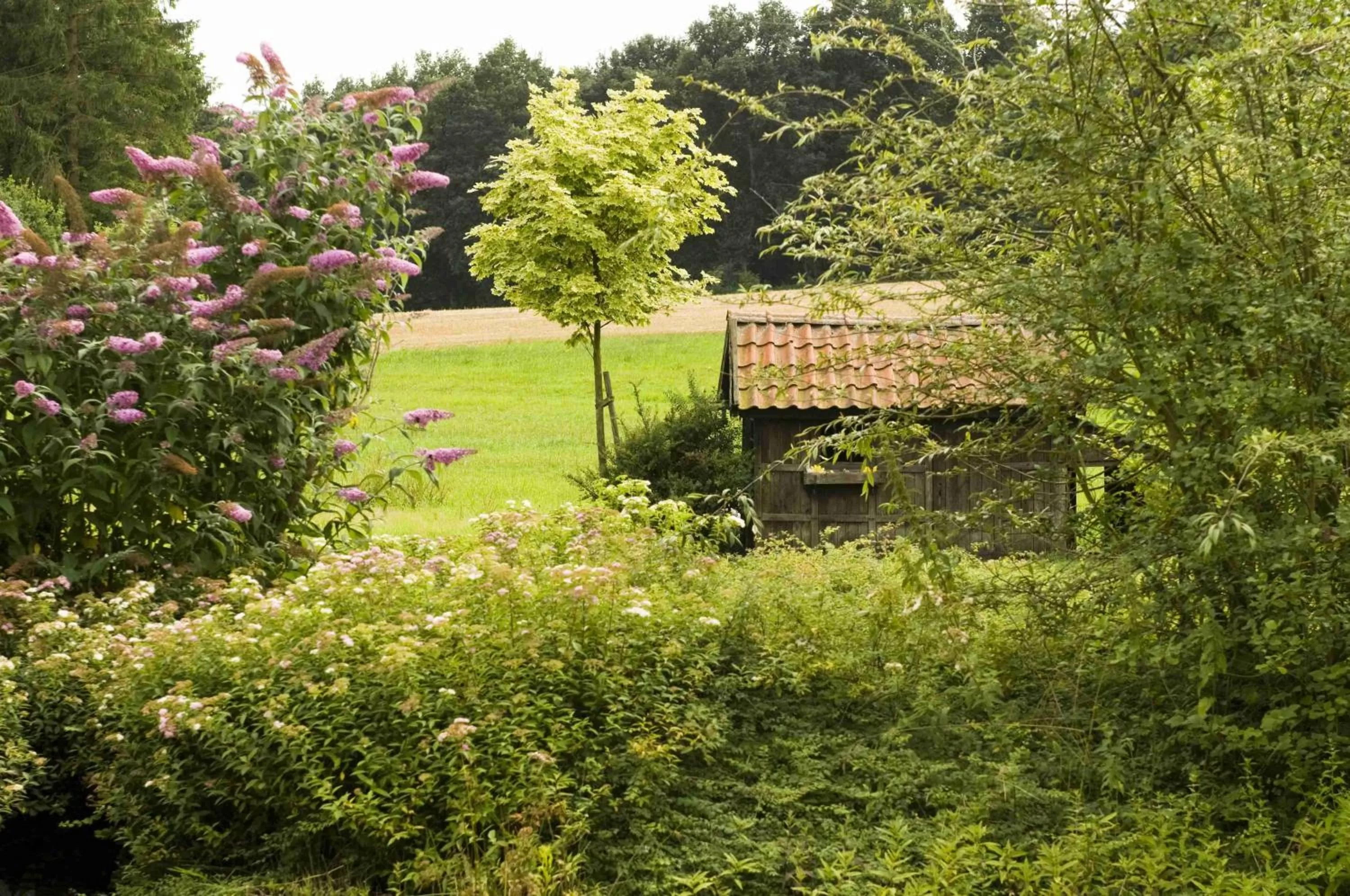 Garden view, Garden in Hotel am Waldbad