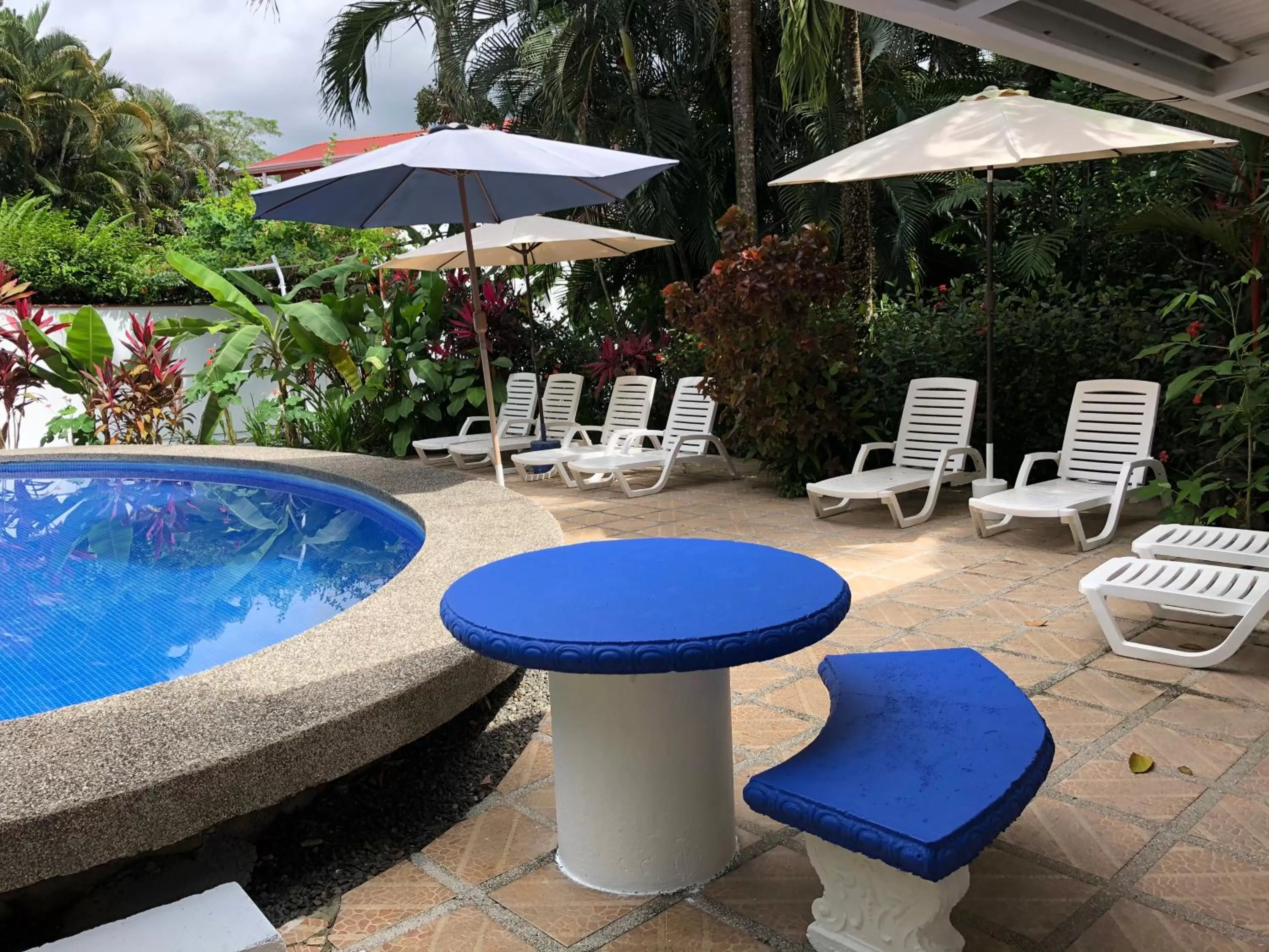 Garden view in La Perlita