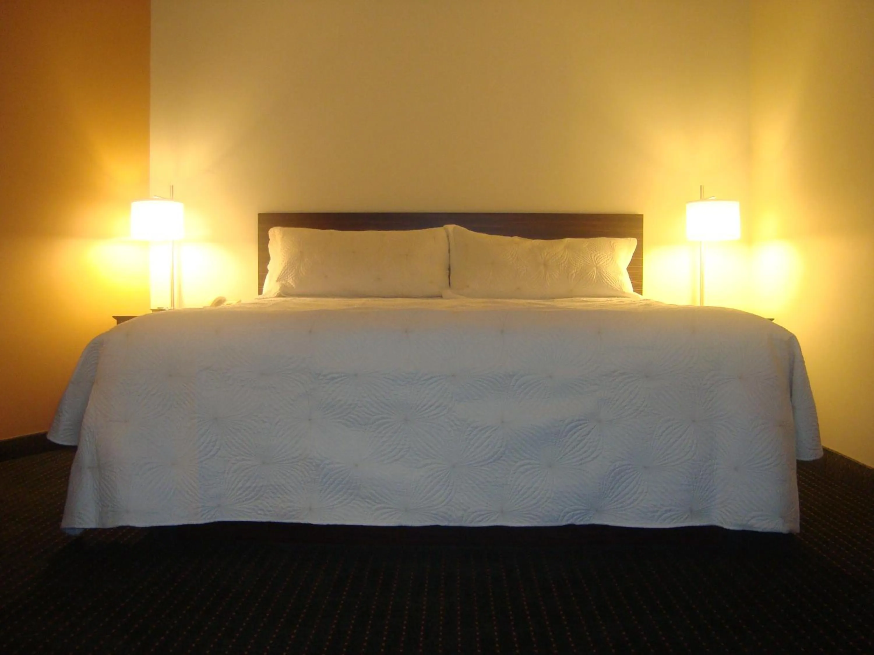 King Room - Smoking  in Travelodge by Wyndham Bracebridge