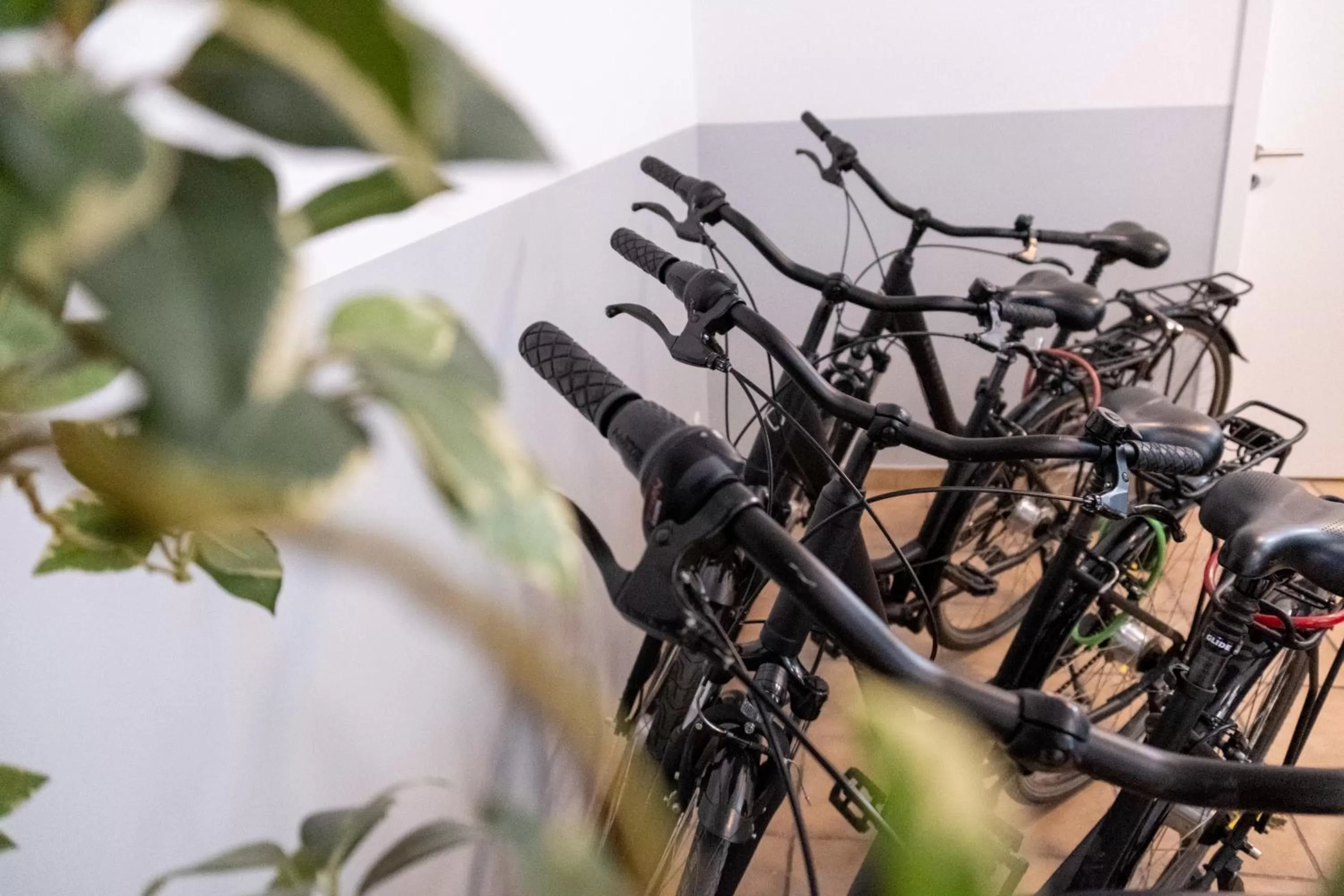 Entertainment in Hotel Geranio Au Lac