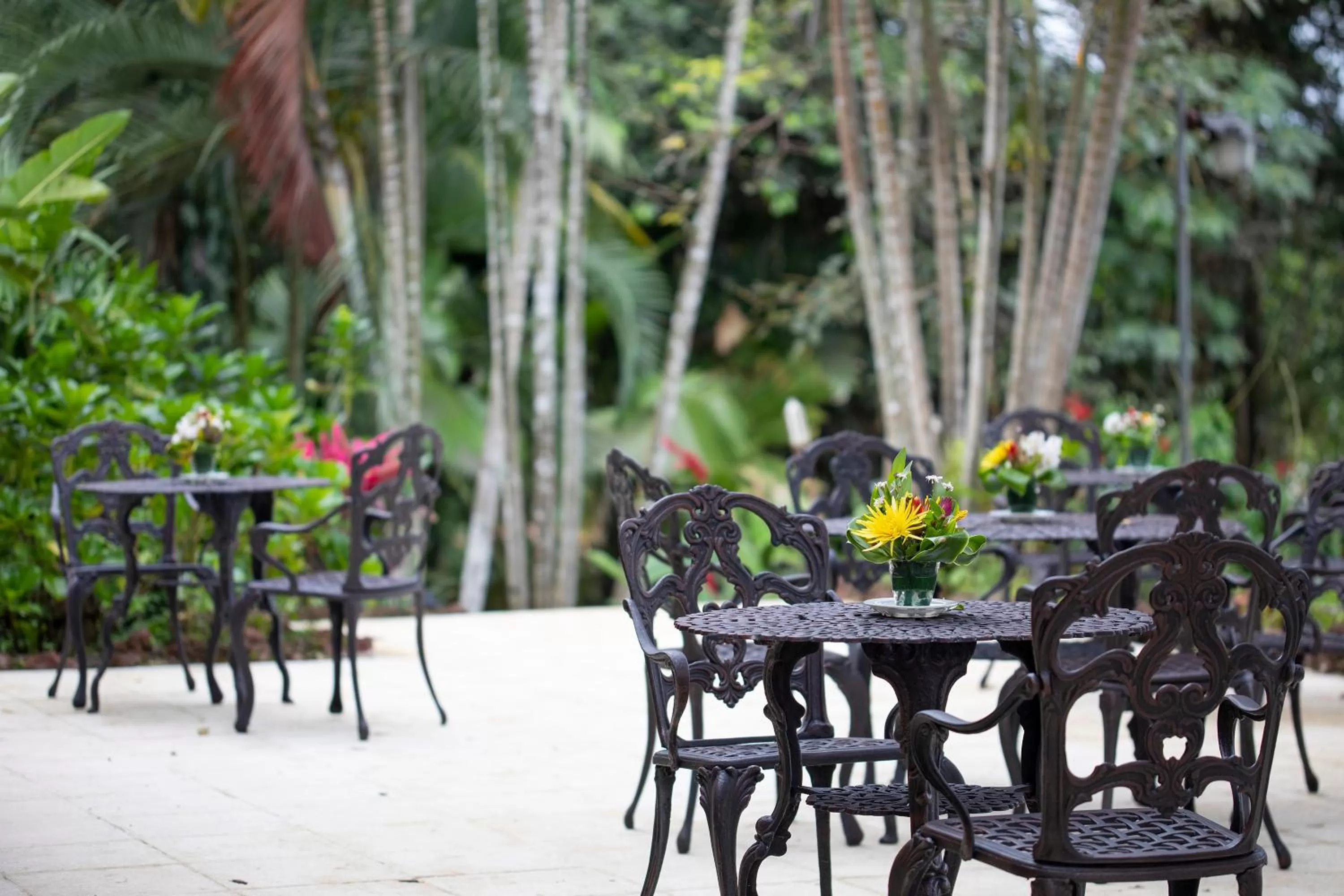 Patio in Villa San Ignacio