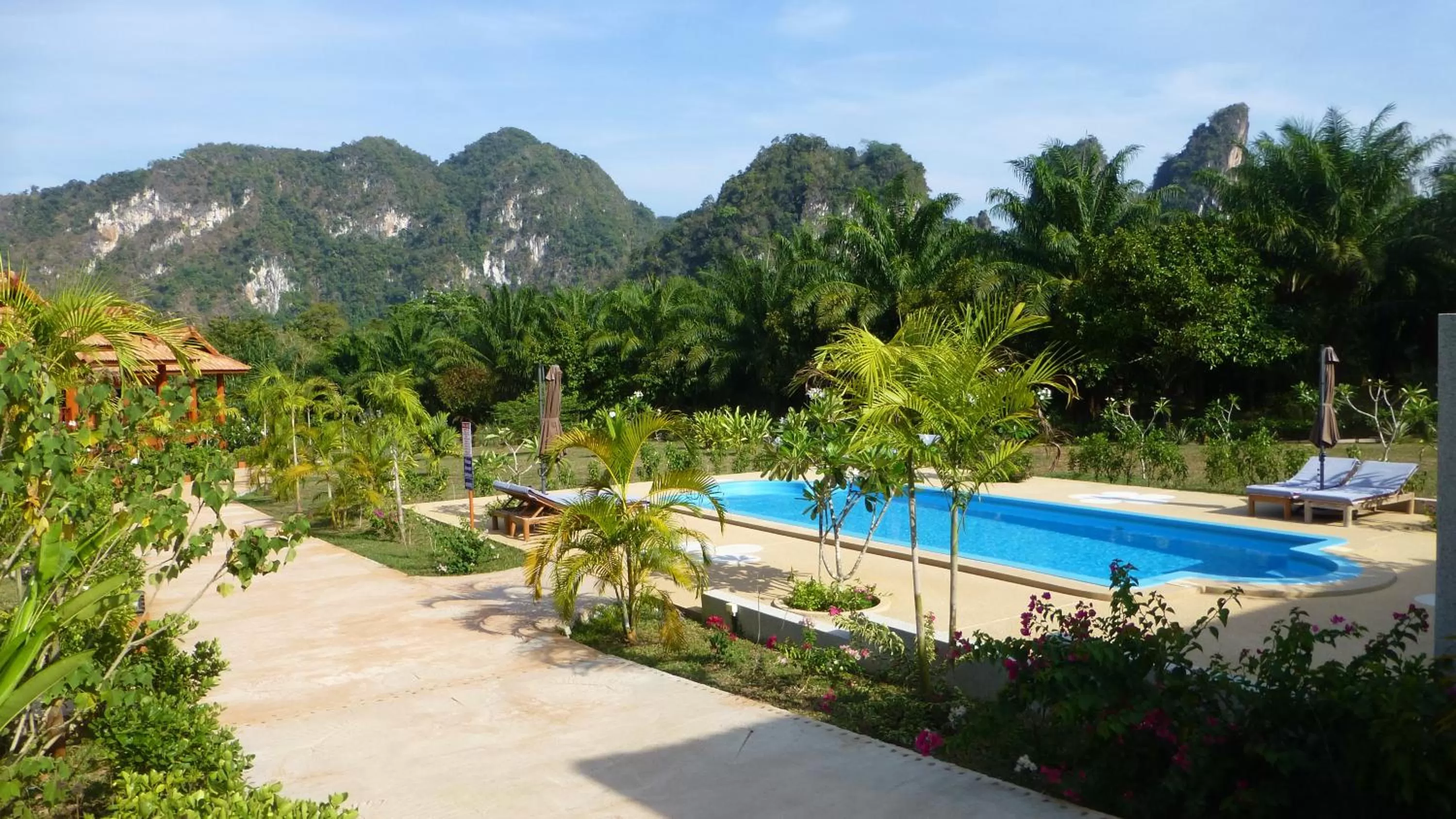 Mountain view, Pool View in Khao Sok Jasmine Garden Resort - SHA Certified