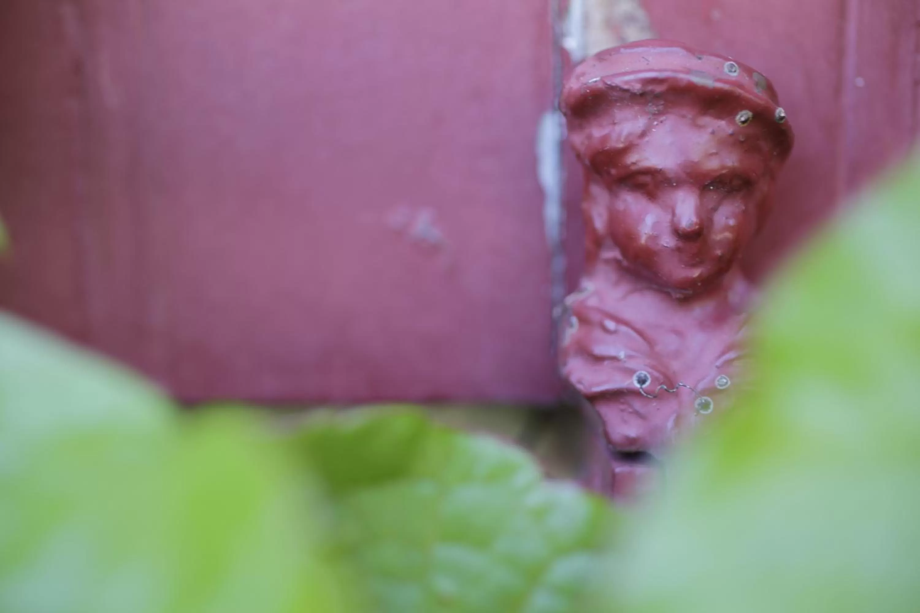 Facade/entrance in Domaine de Rasigous