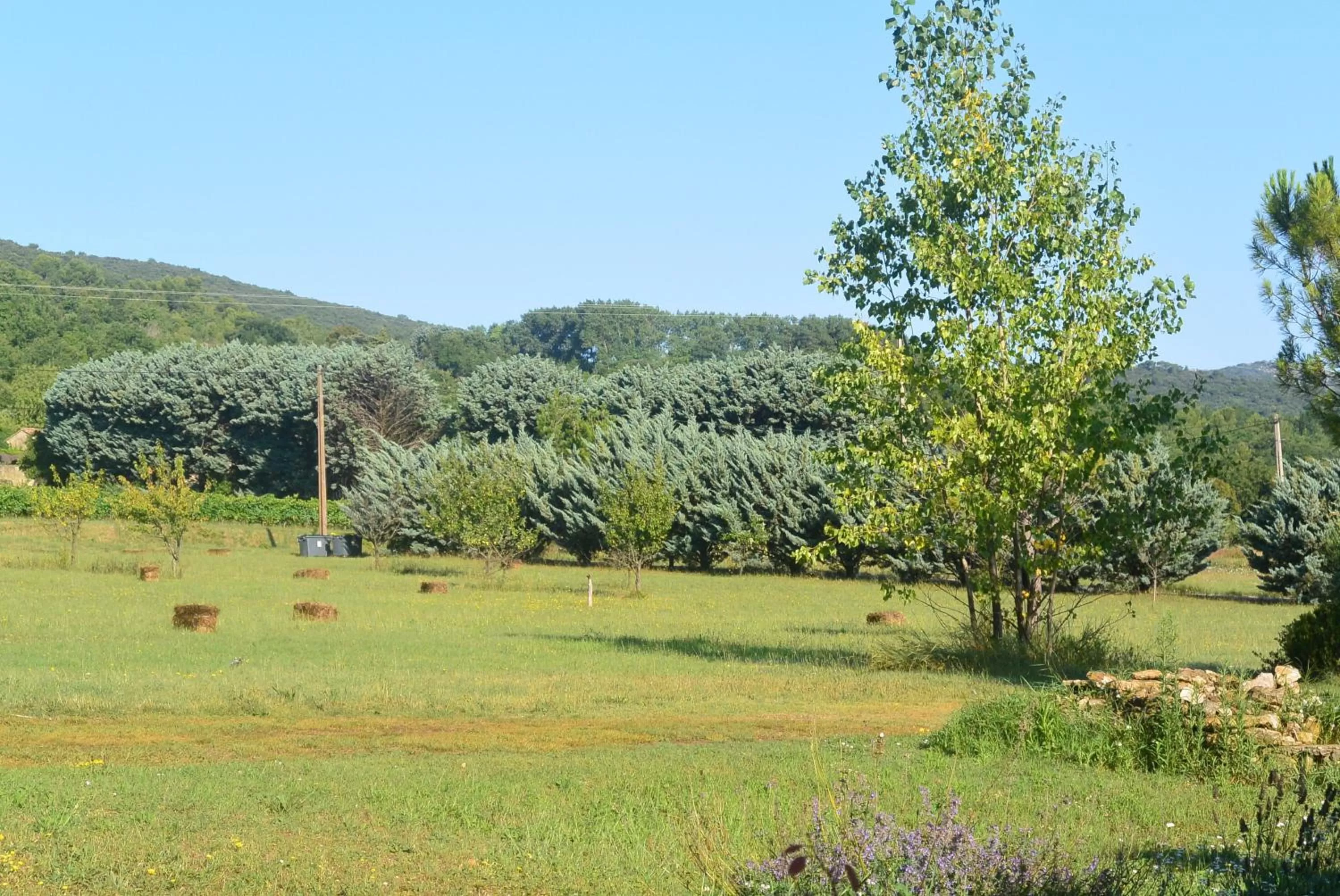 Garden in Chambres d'Hôtes Aux Tournesols