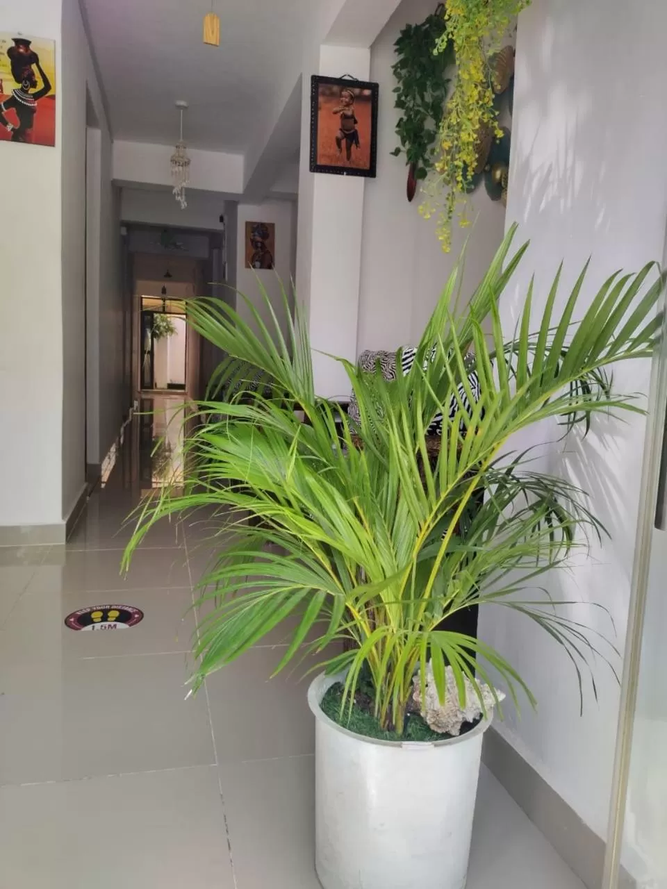 Facade/entrance in 6 Park Retreat