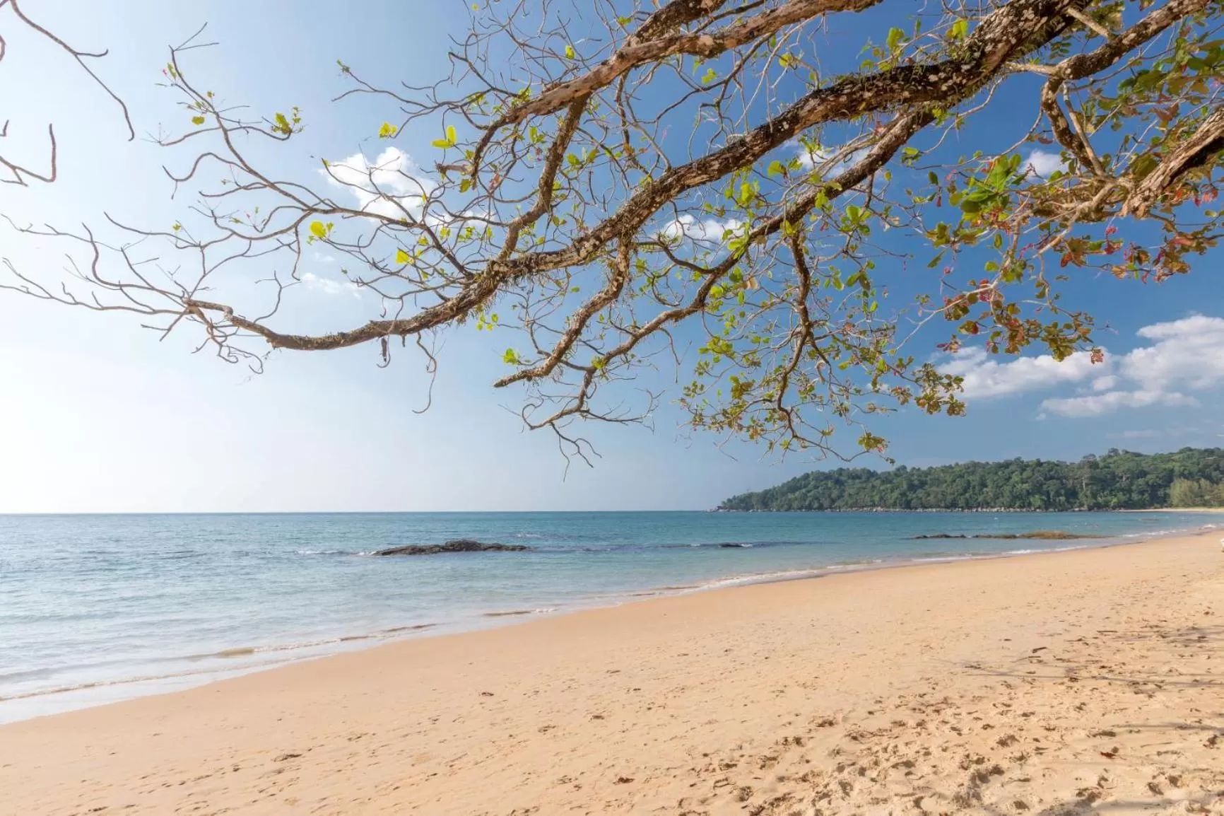 Beach in Eden Beach Khao Lak Resort & Spa
