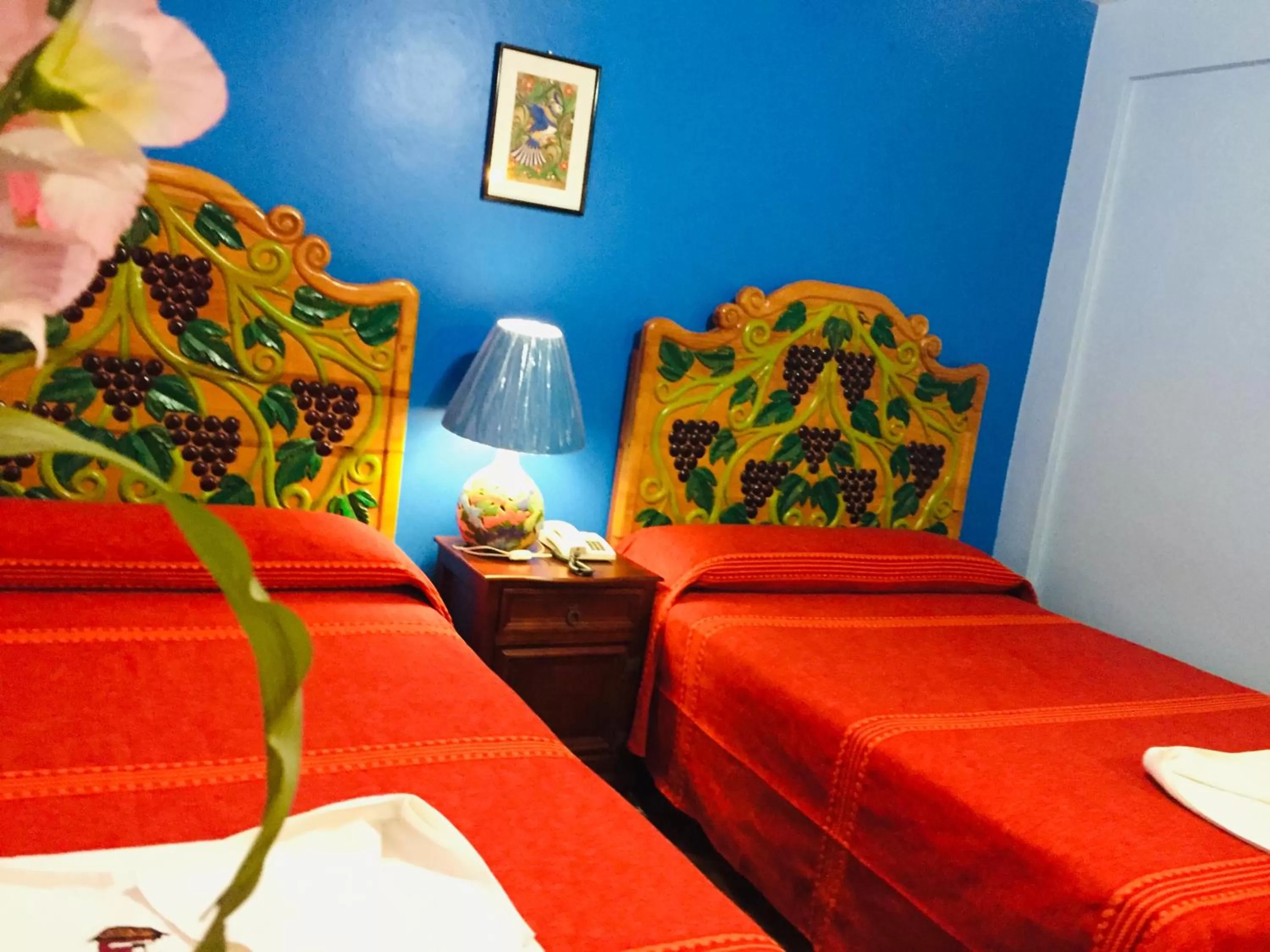 Bed in Hotel Cazomalli Oaxaca