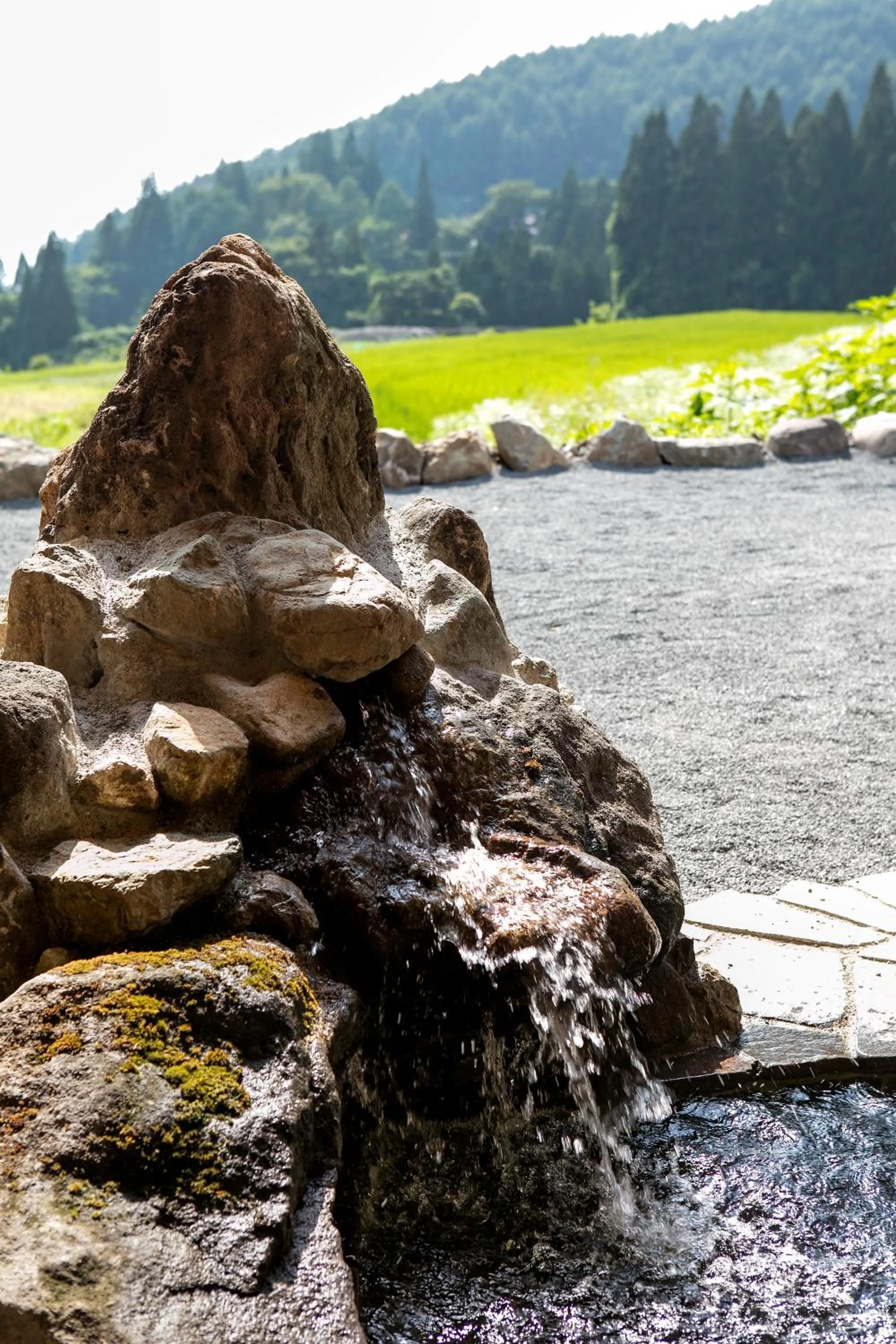 Hot Spring Bath in Ryokan Warabino