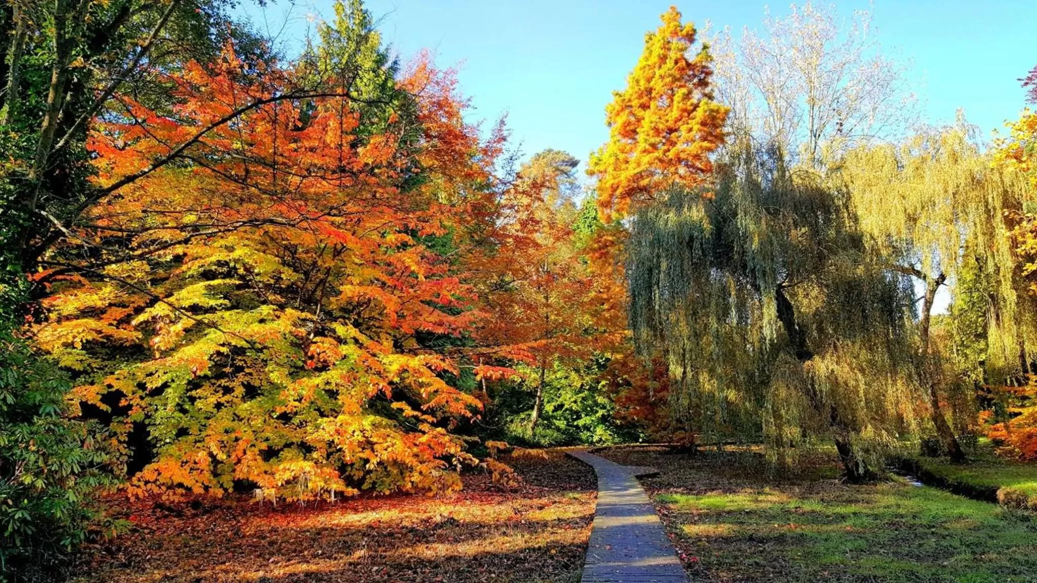 Off site, Garden in The Silver How