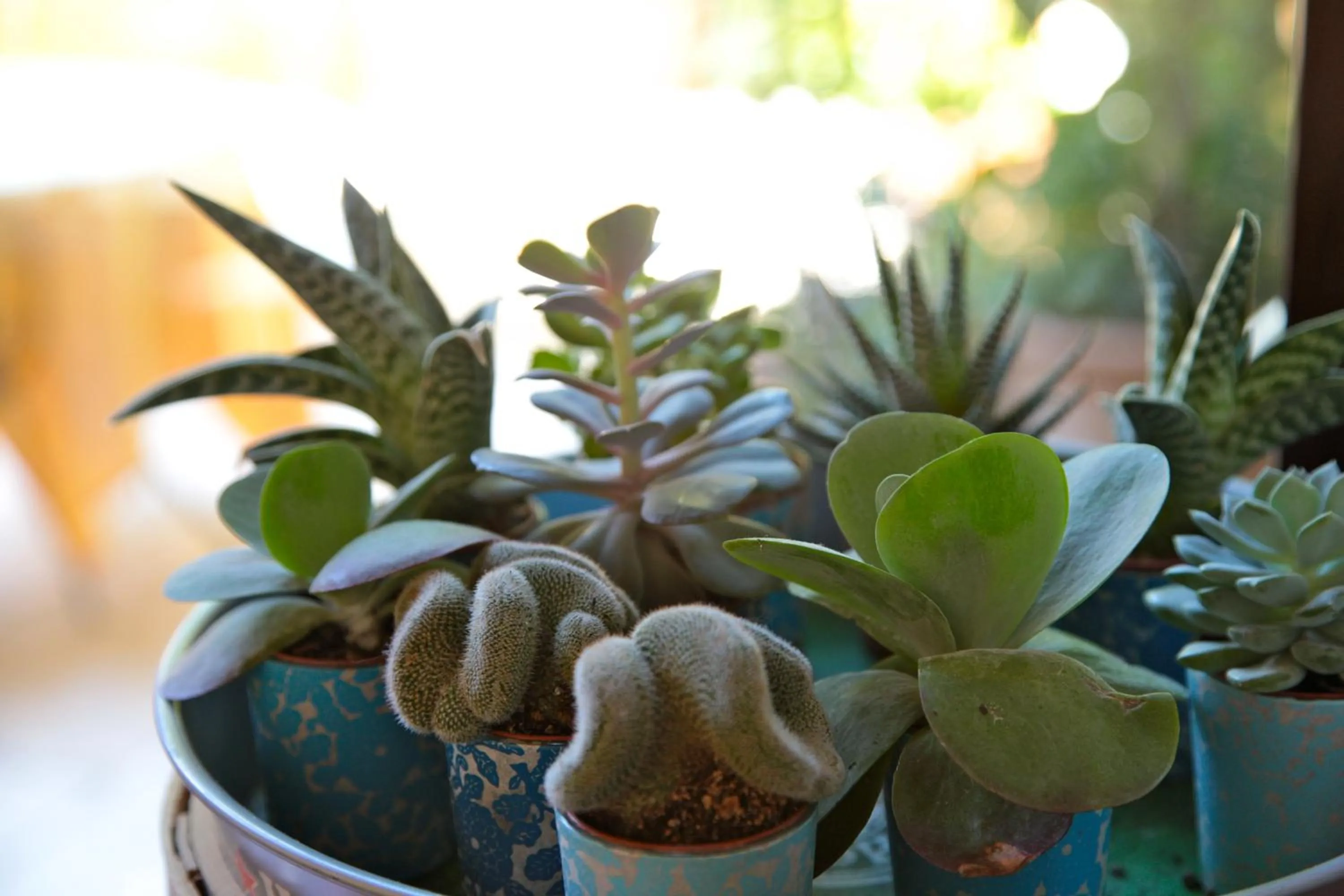 Other in Hotel San Filis