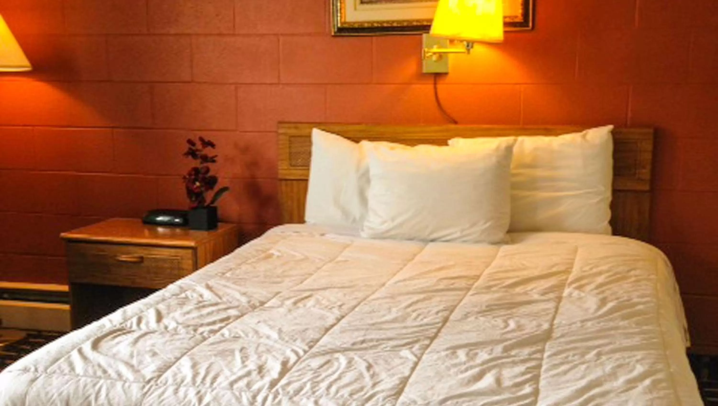 Photo of the whole room, Bed in Rodeway Inn Manchester I-90