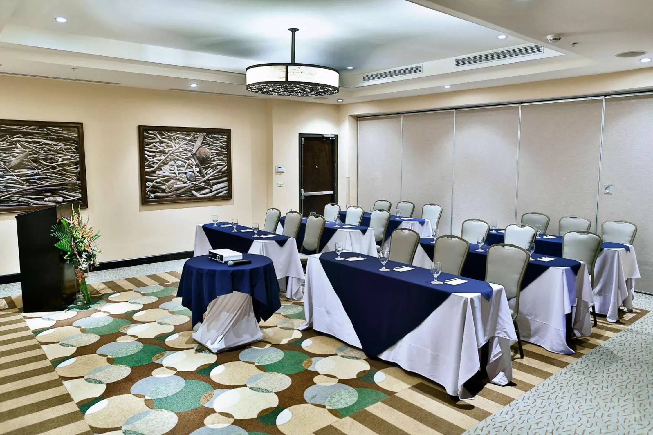 Meeting/conference room in Hilton Garden Inn Guanacaste Airport