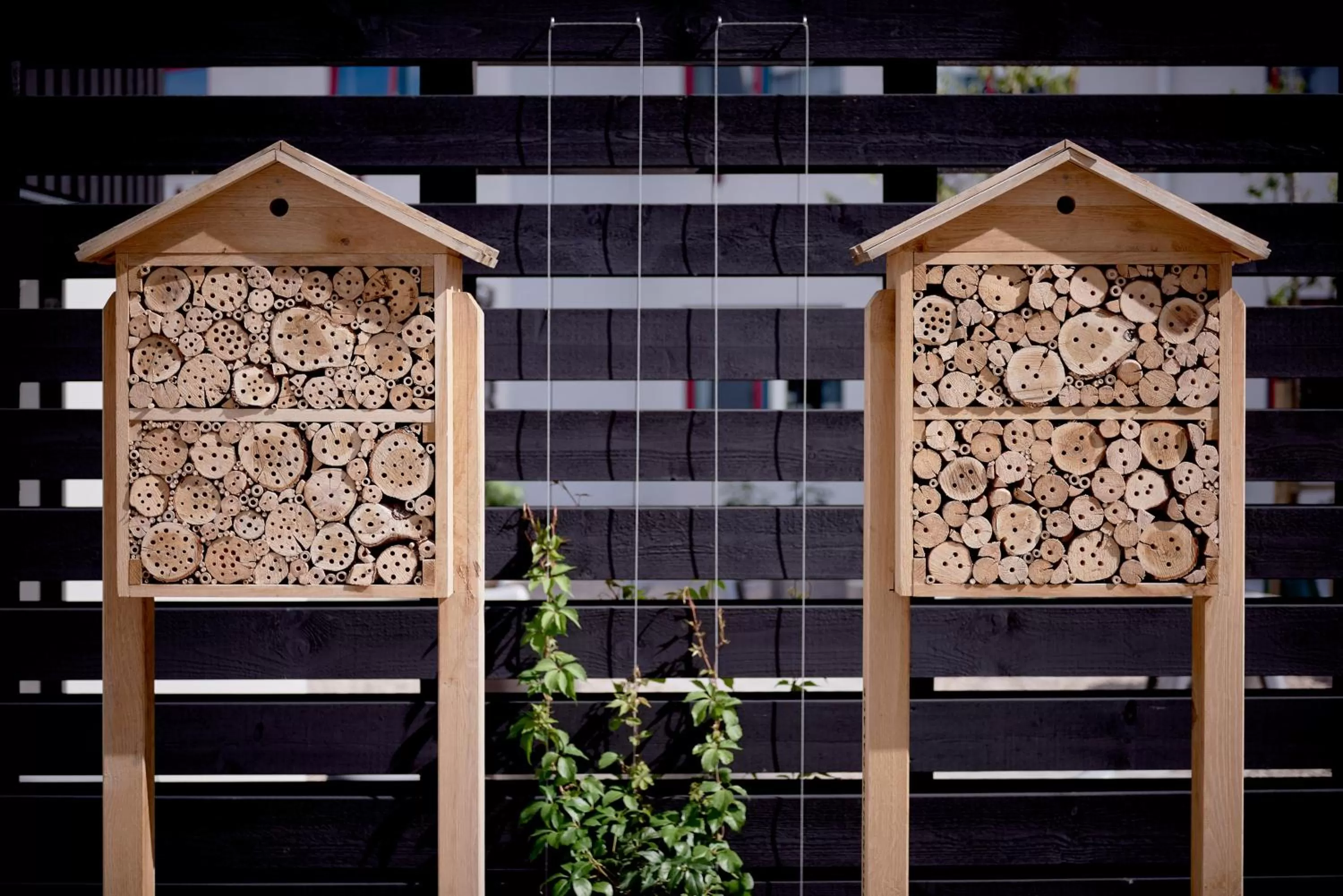 Garden in IKEA Hotell