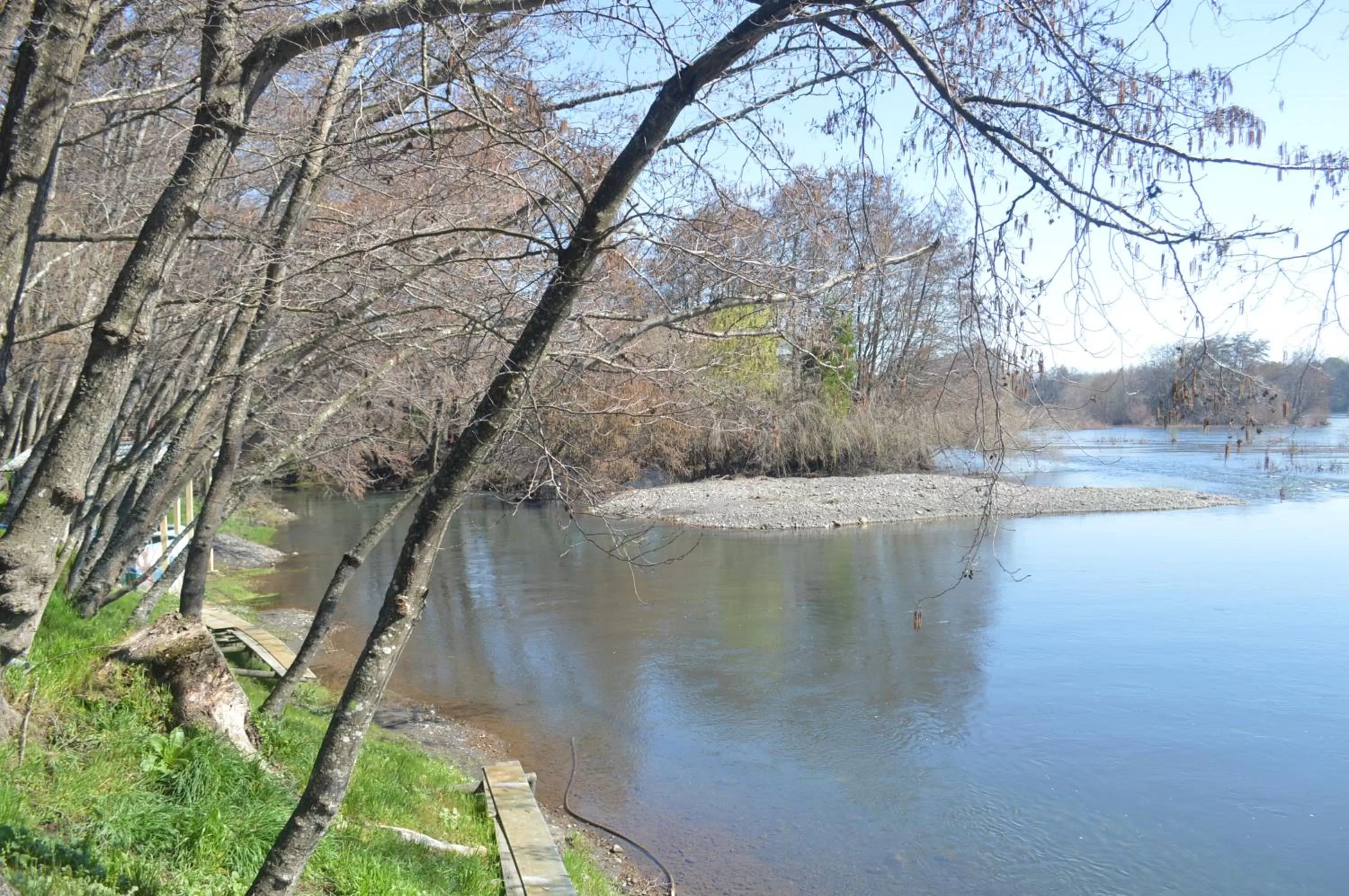 Natural Landscape in Coyunche Cabañas y Camping Laja & San Rosendo