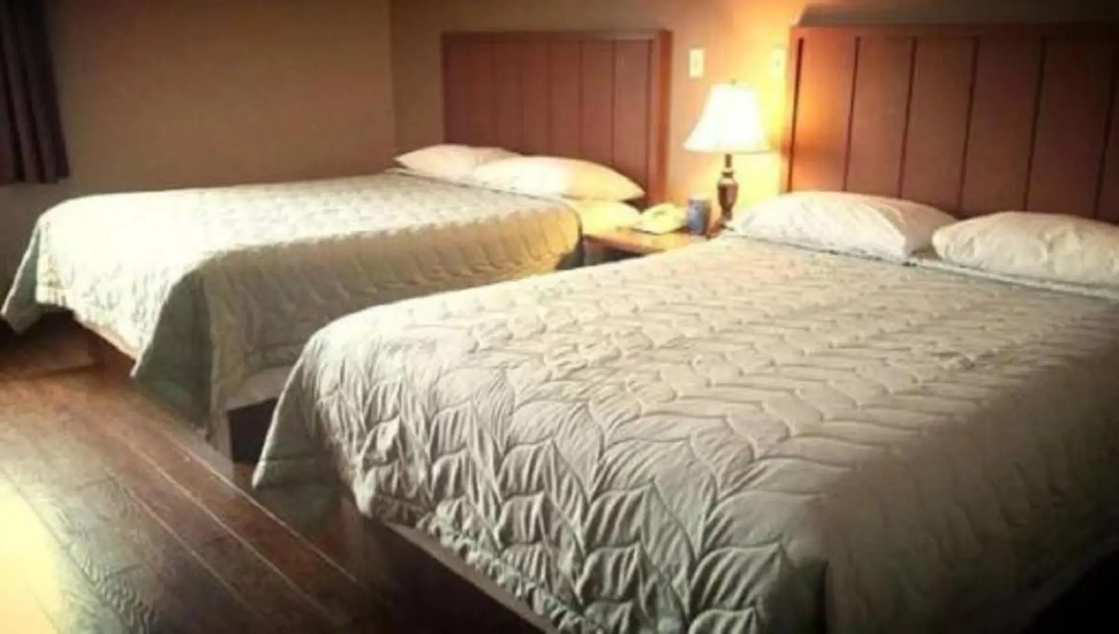 Room with Two Queen Beds in Queen Bee Hotel Room with Two Queen Beds in Queen Bee Hotel