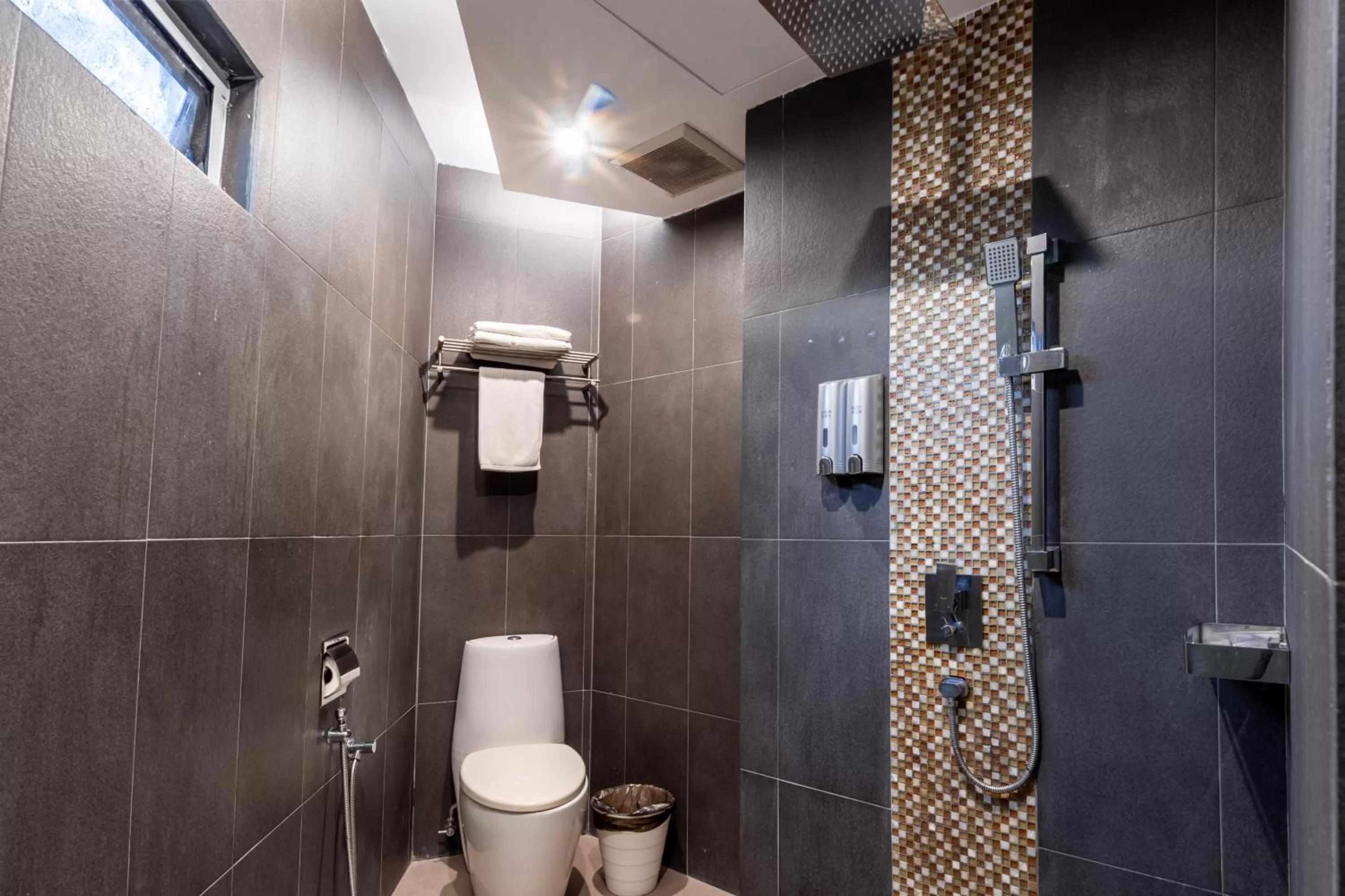 Shower in Apple Hotel Times Square