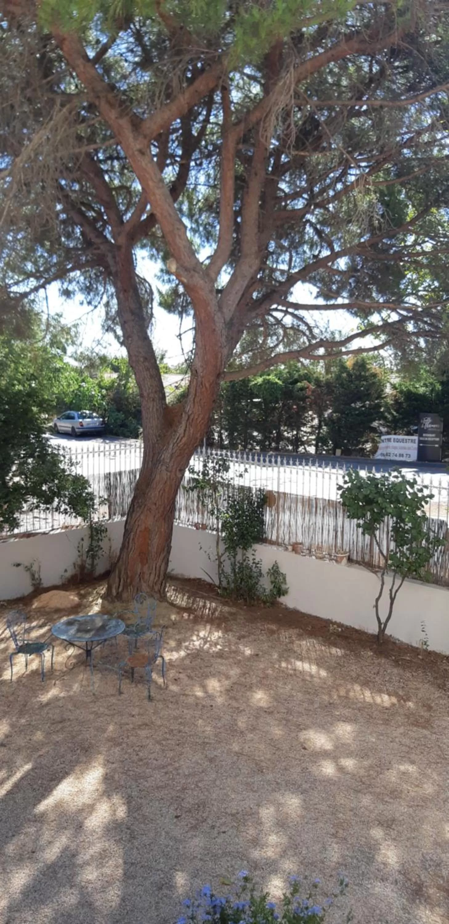 Garden in Mas Palegry côté terrasse