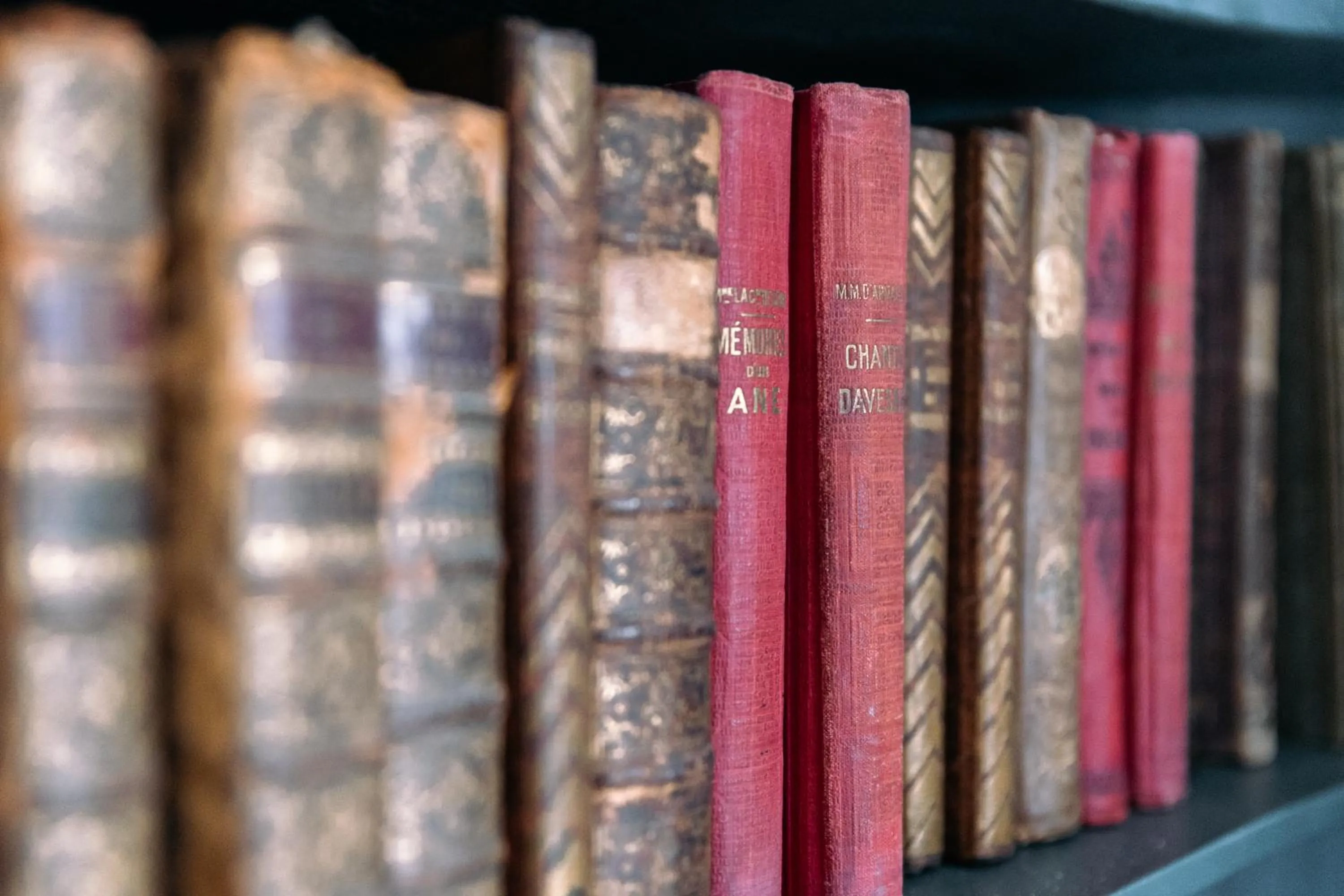 Library in La Maison Pavie