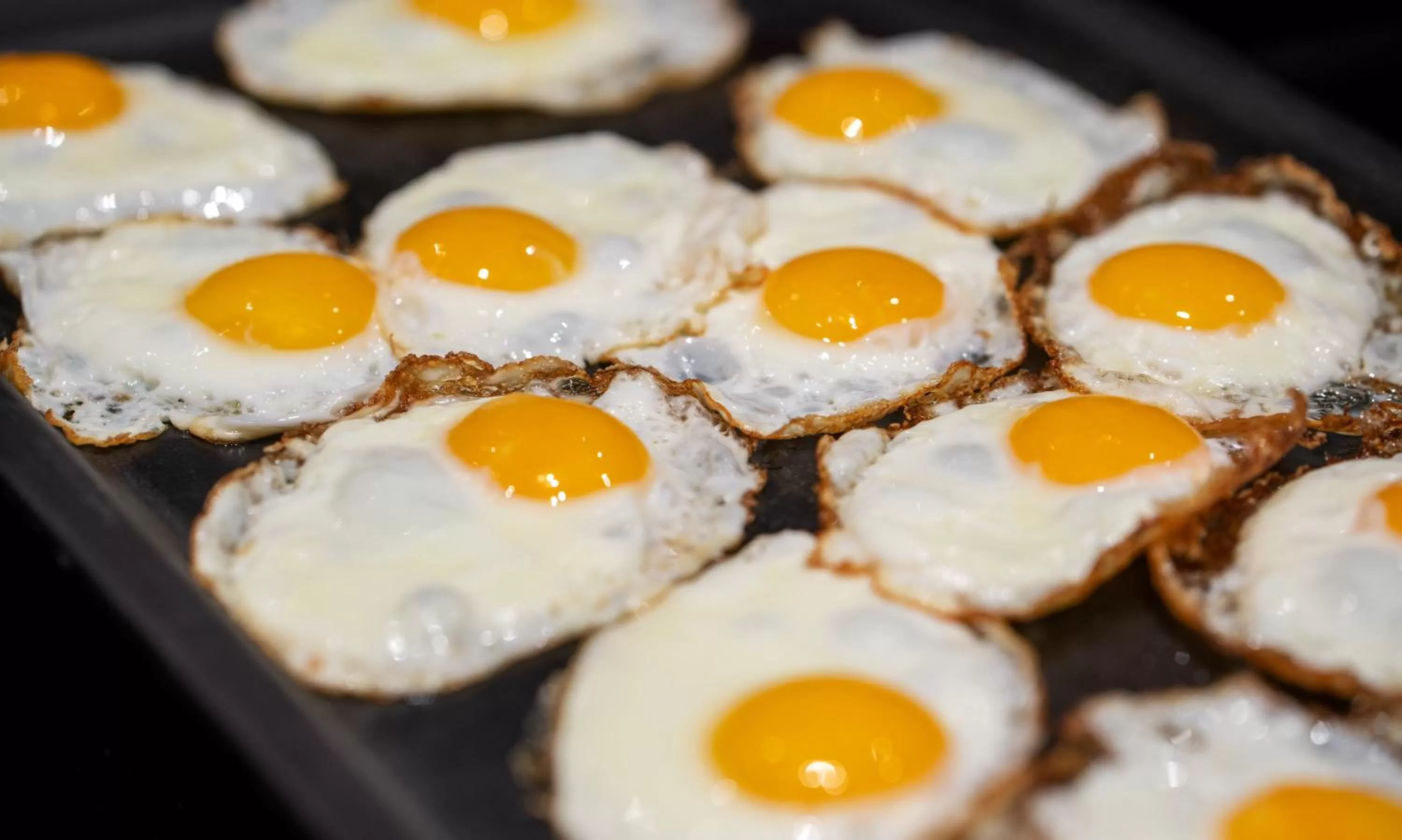 Buffet breakfast in Thon Hotel Tromsø