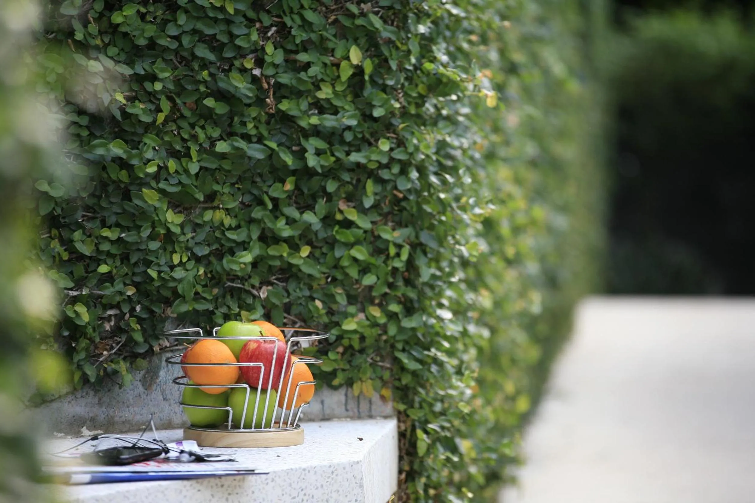 Garden in Sunset Beach Resort