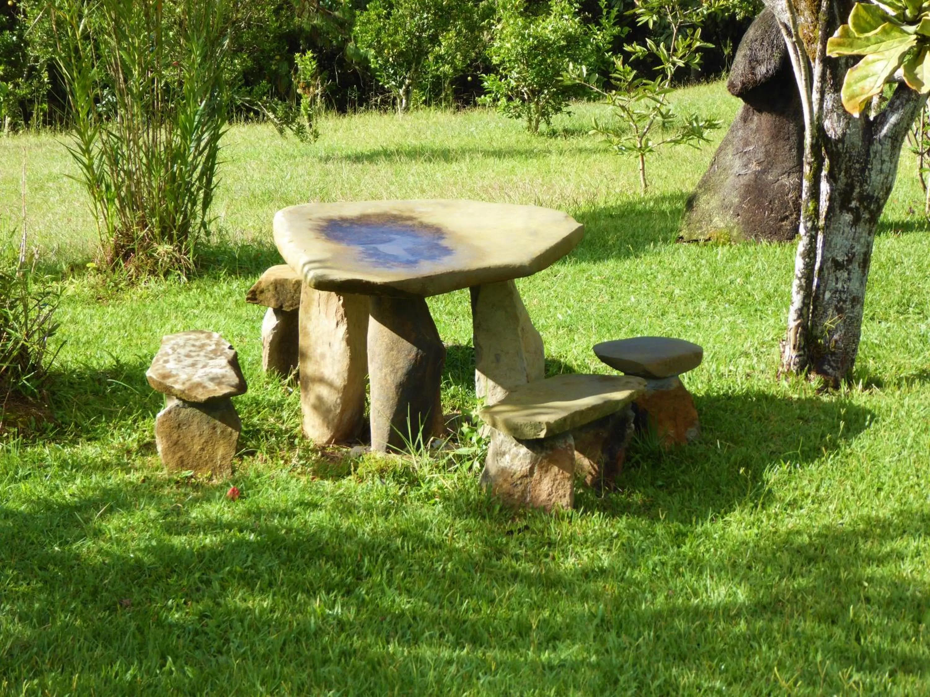 Garden, Patio/Outdoor Area in Finca El Cielo