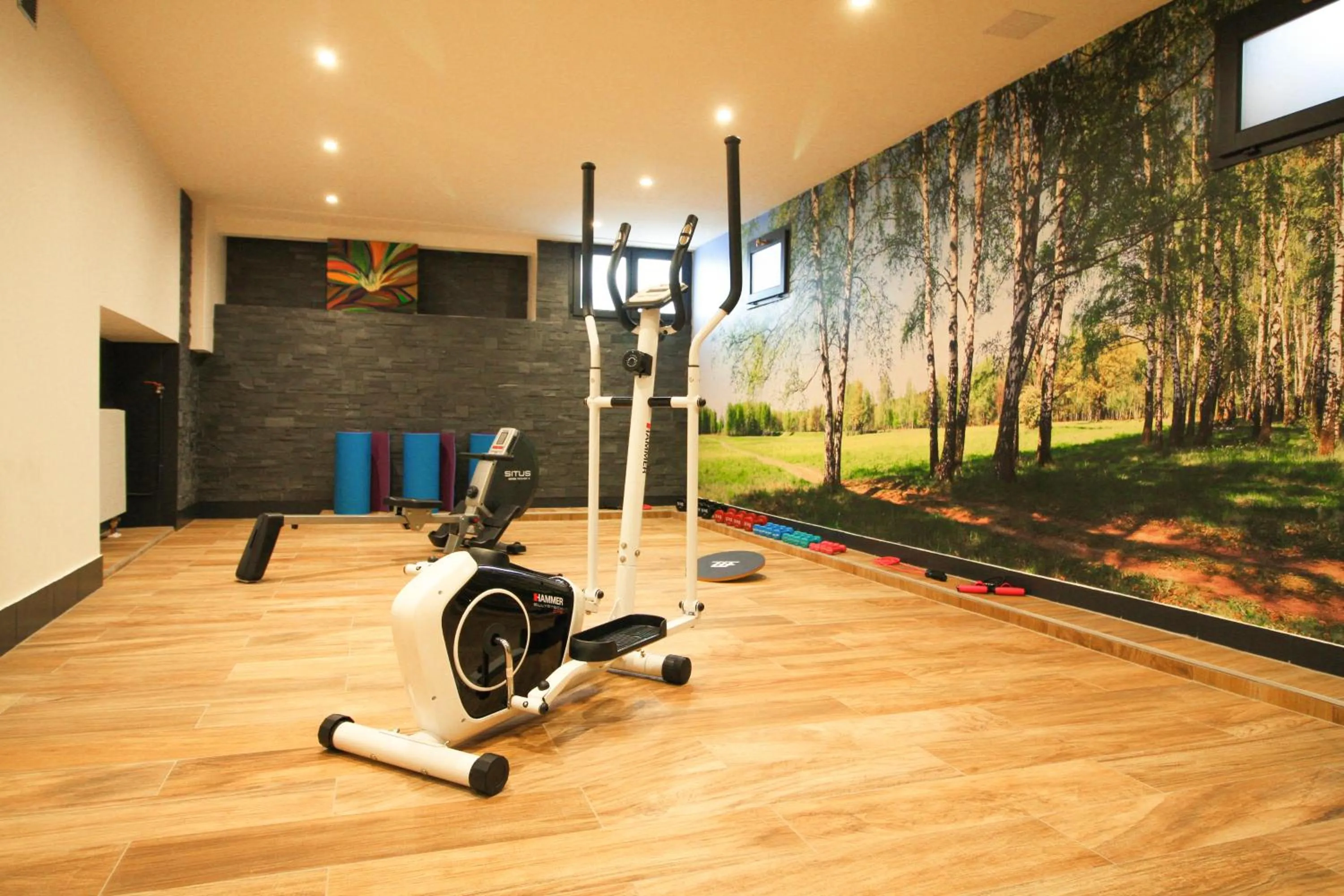 Fitness centre/facilities in Hotel Roses