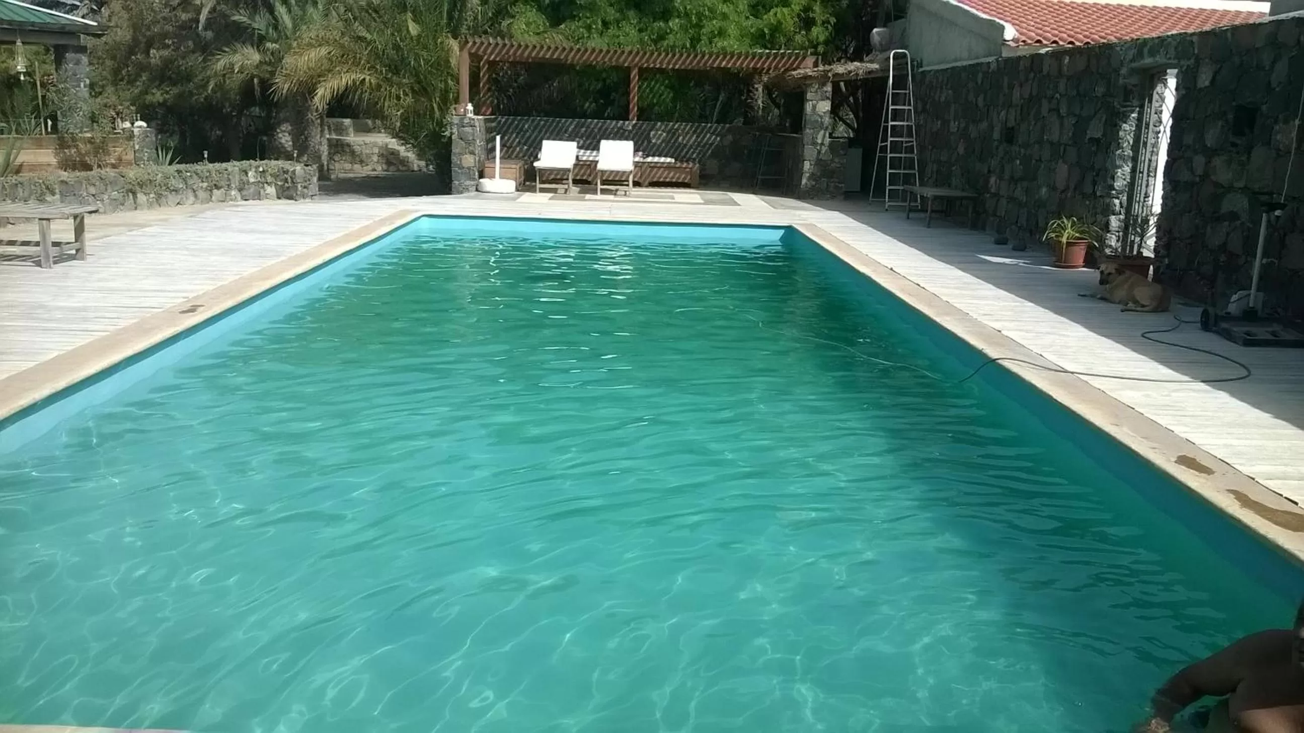 Activities in Villa Morabeza Guest House