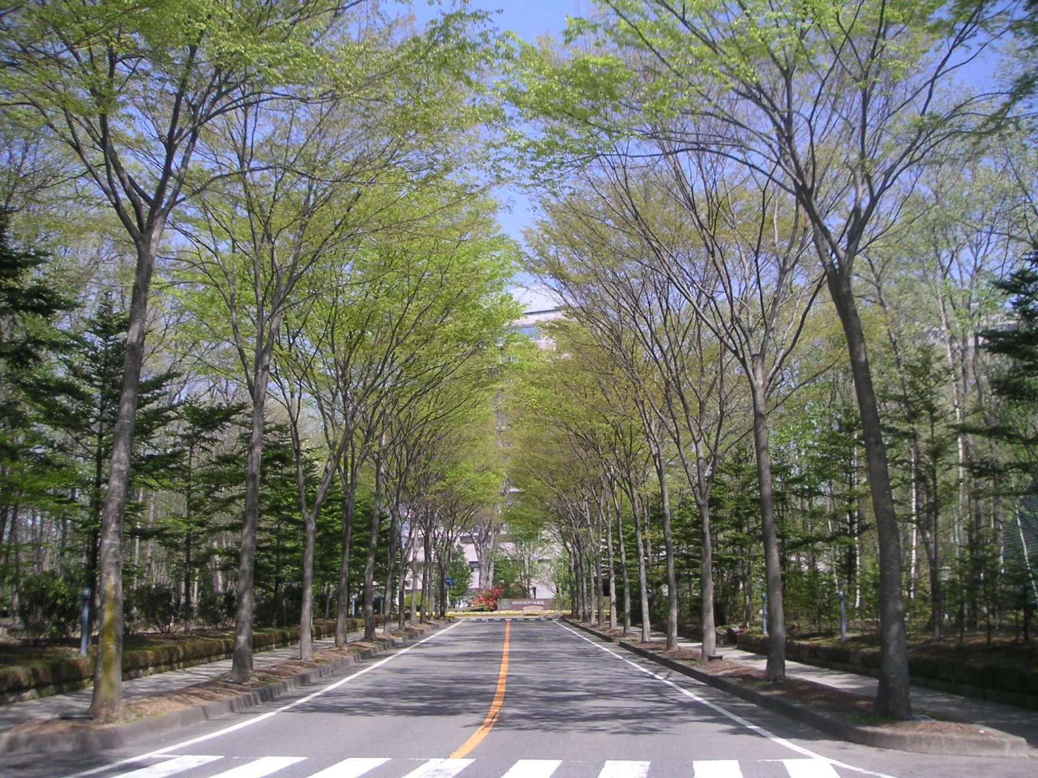 Day in Hotel Epinard Nasu