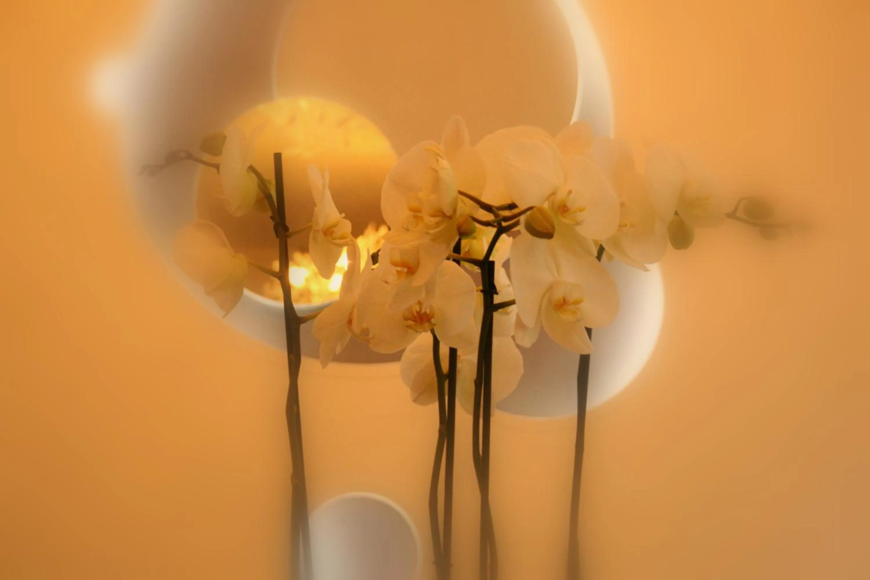 Decorative detail in Hôtel Lumières Montmartre Paris