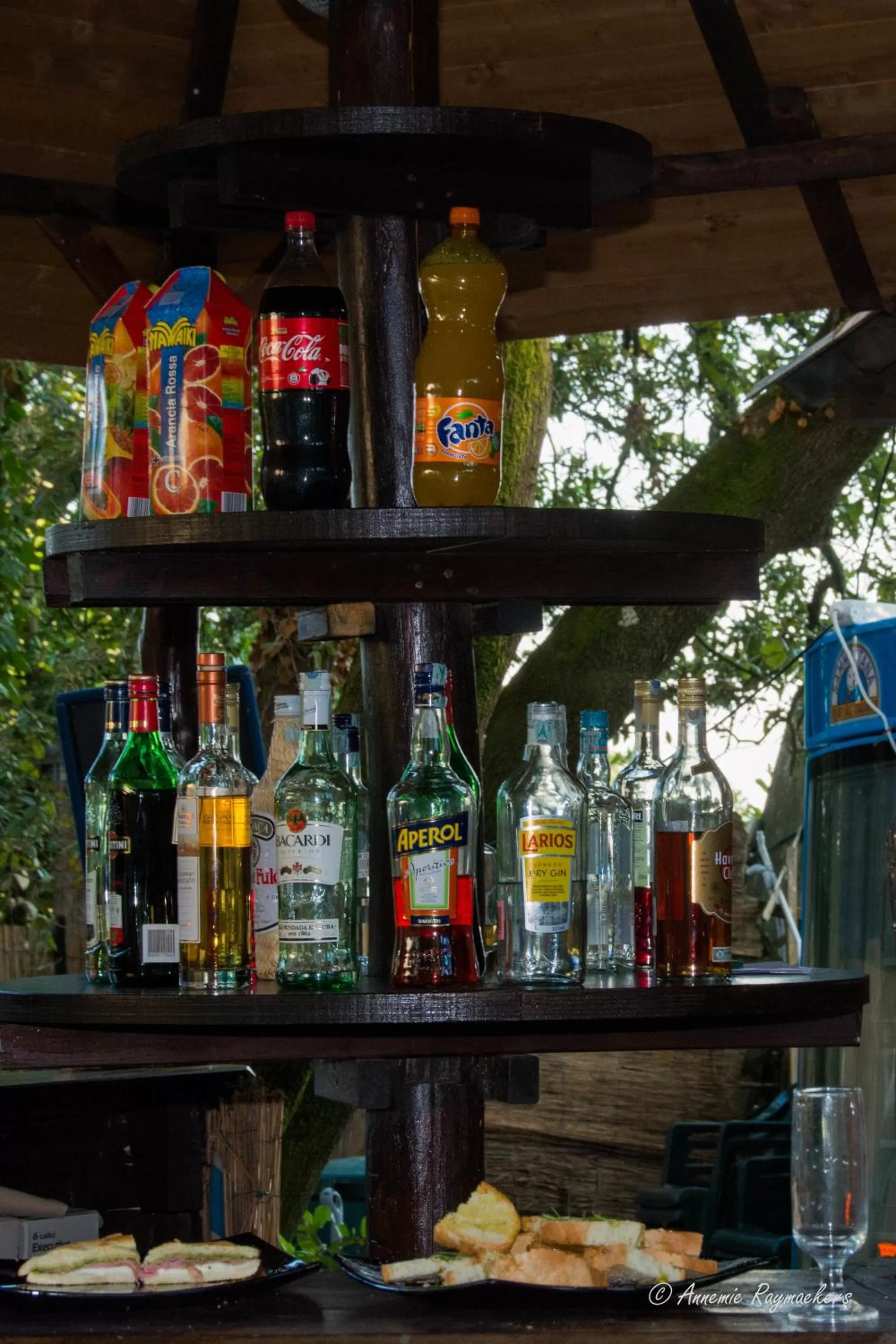 Lounge or bar in Hotel Monti