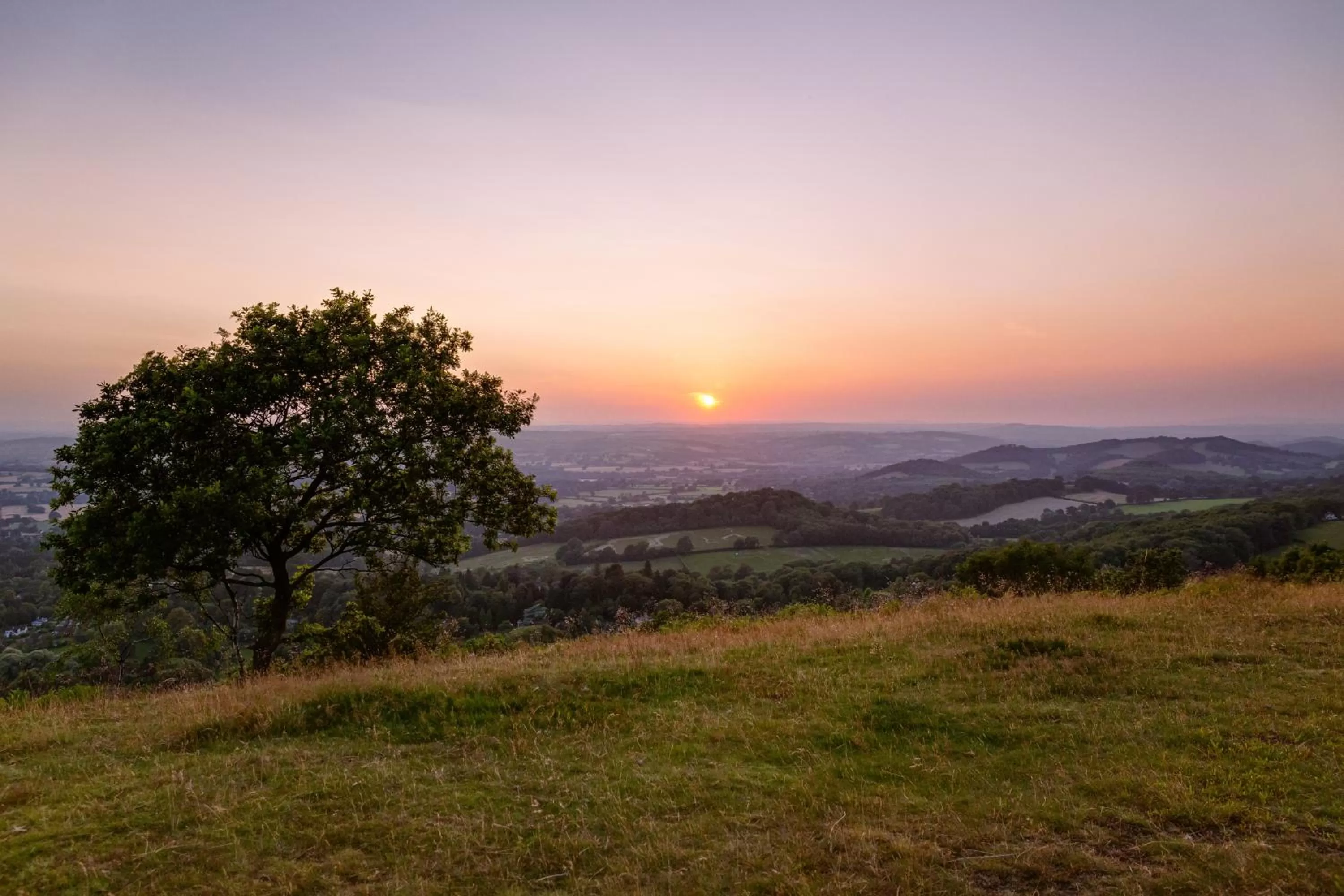 Natural landscape in Mount Pleasant Hotel