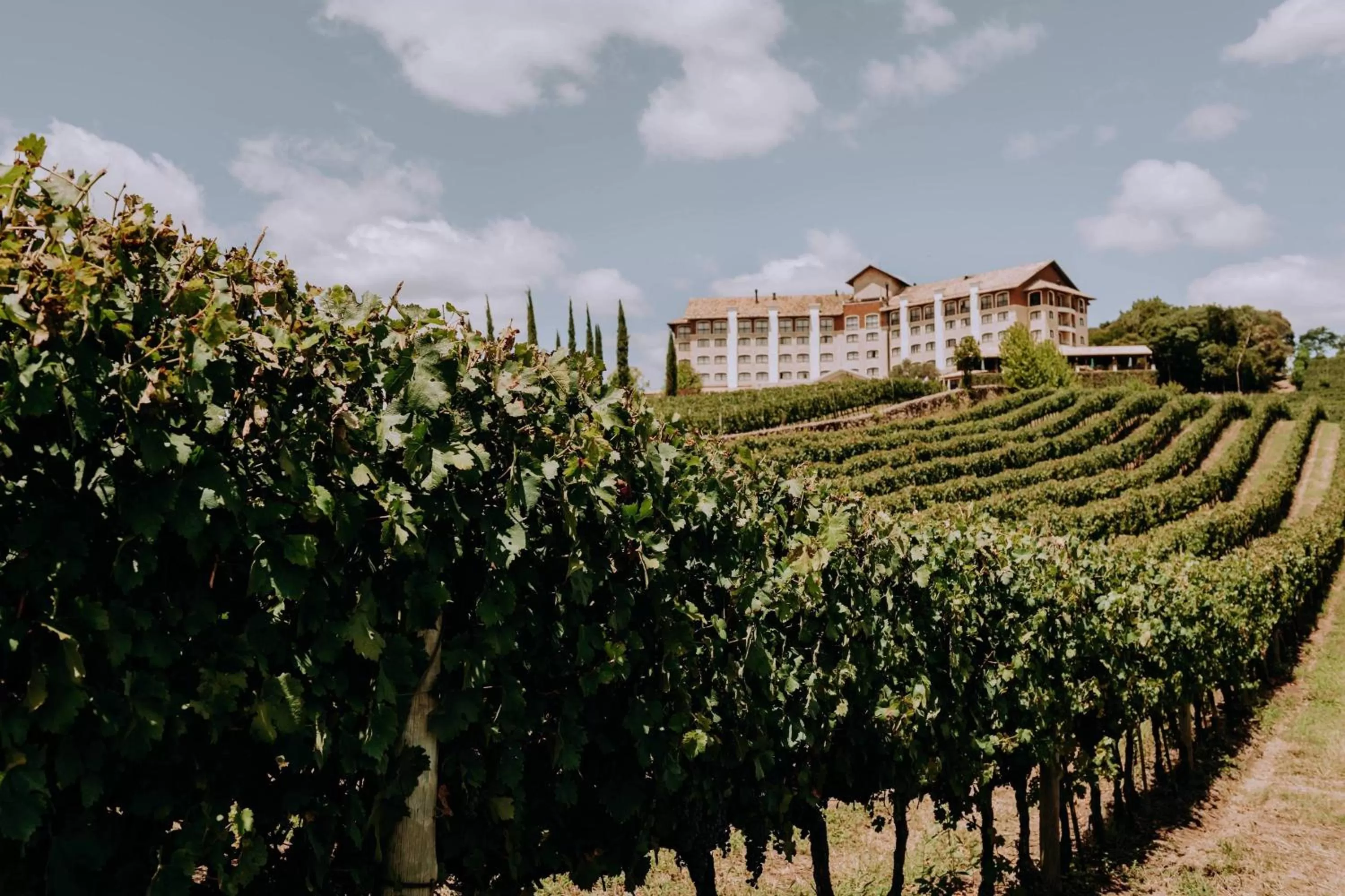 Other in Hotel & Spa do Vinho, Autograph Collection