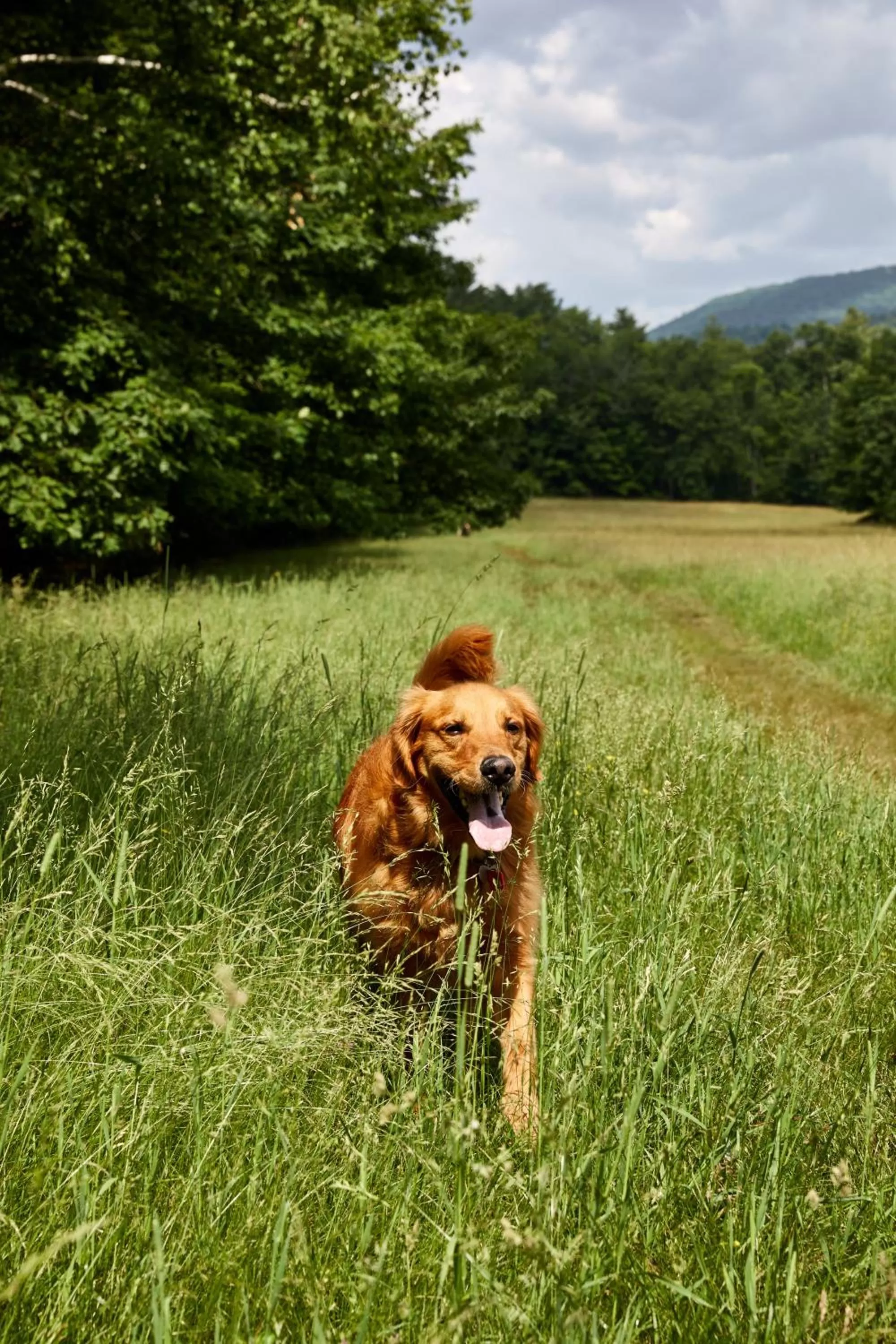 Area and facilities in Hunter Lodge, a Bluebird by Lark
