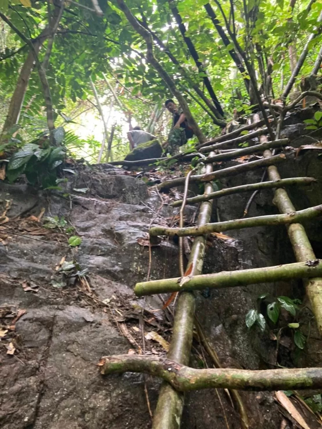 Khaosok Rainforest Resort