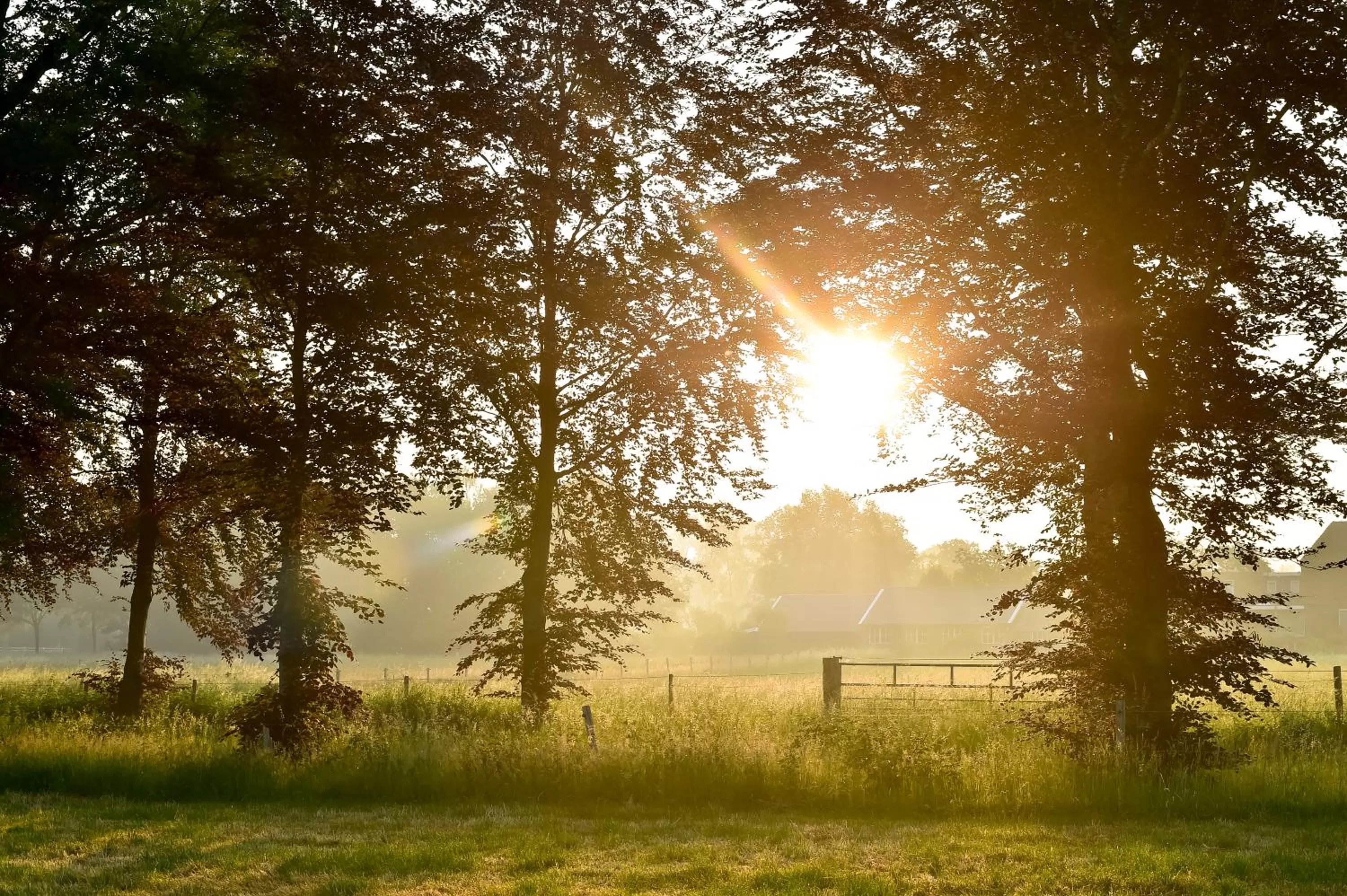 Natural landscape in Landhuis Hotel de Herikerberg