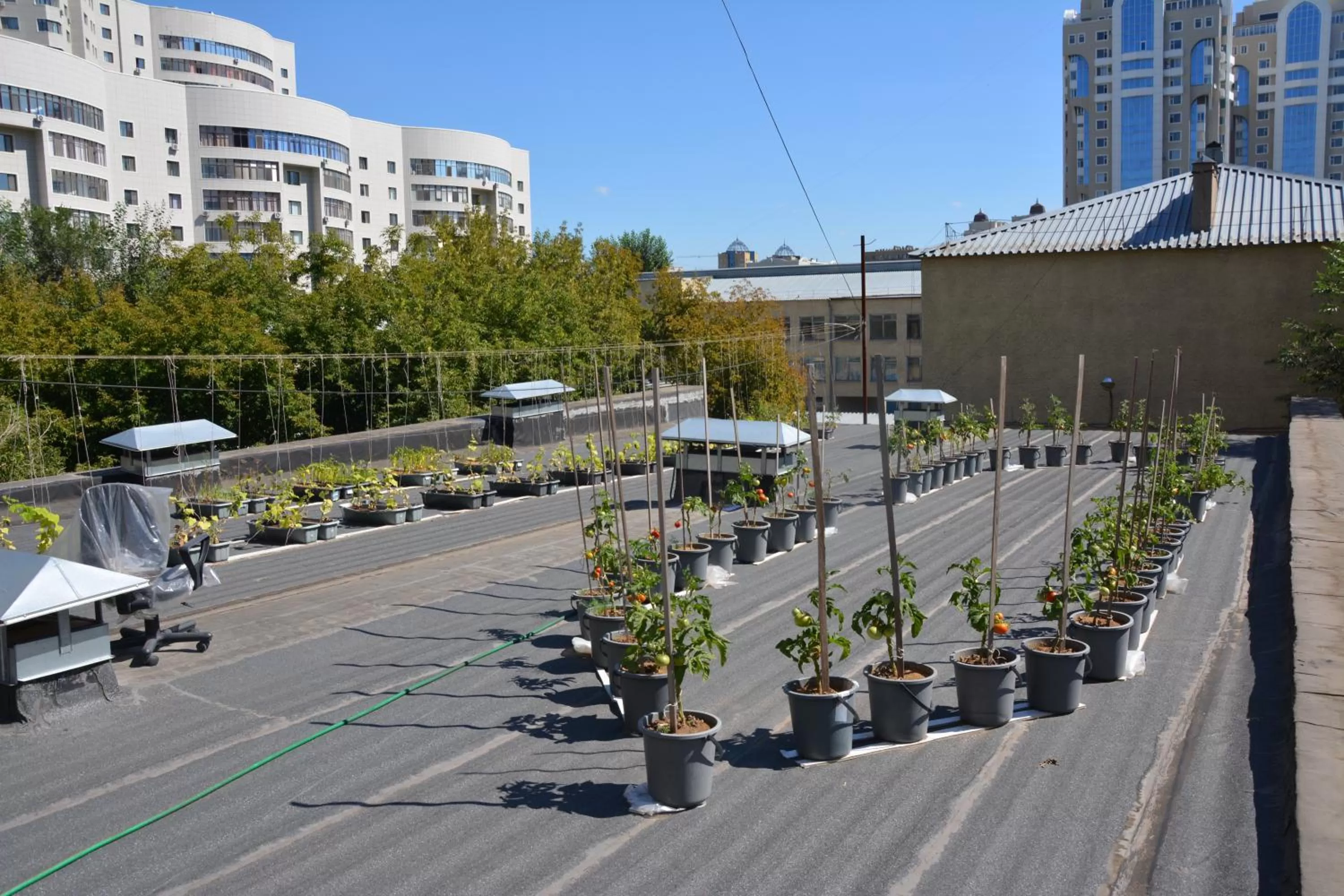 Bird's eye view, City View in Brown Hotel